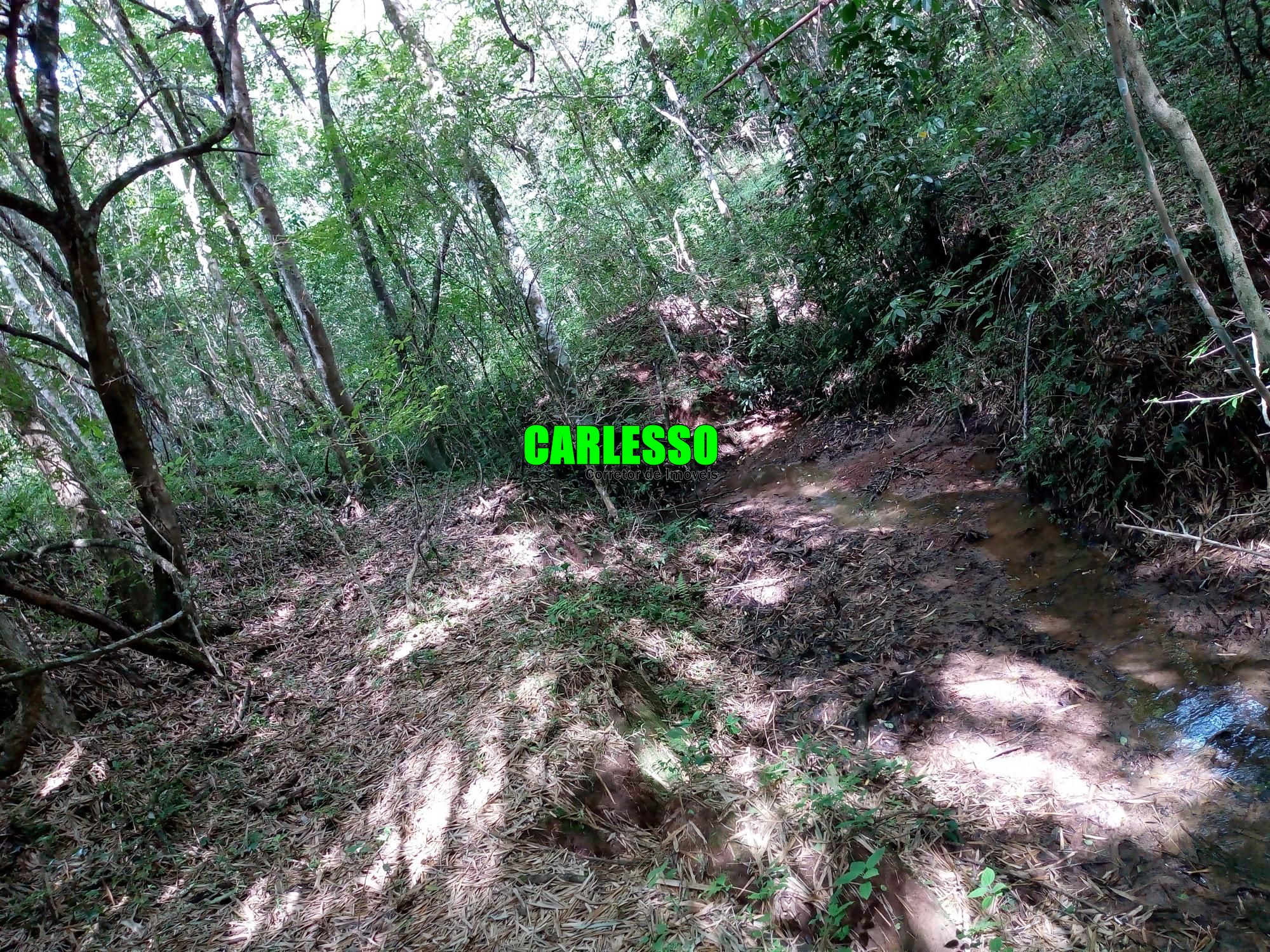 Loteamento e Condomínio à venda, 50000m² - Foto 23