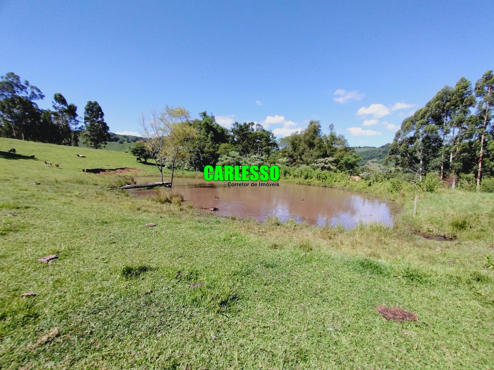 Fazenda à venda com 2 quartos, 100m² - Foto 40