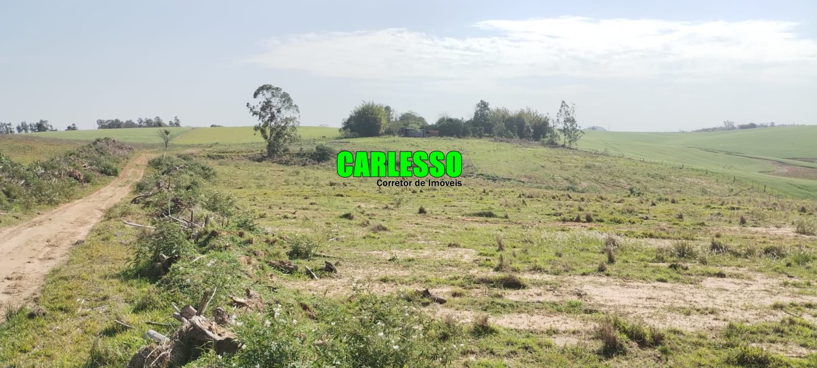 Fazenda à venda com 2 quartos, 295000m² - Foto 48