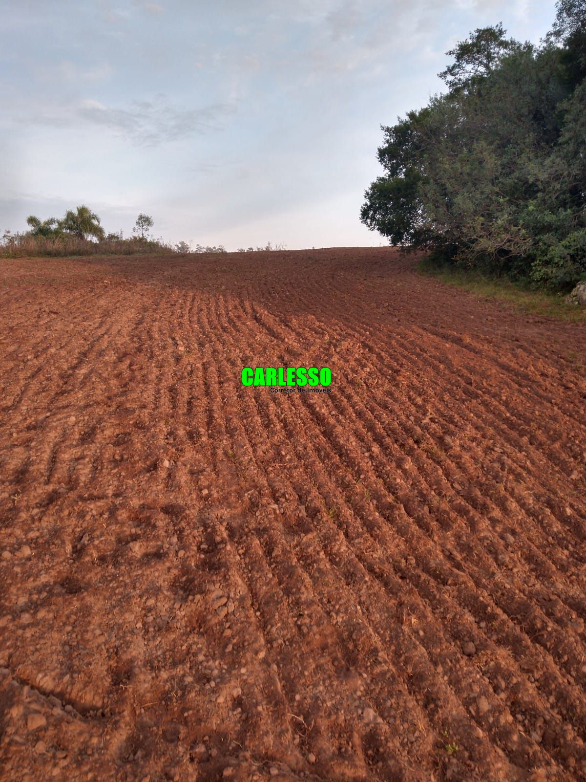 Fazenda à venda com 2 quartos, 100m² - Foto 35