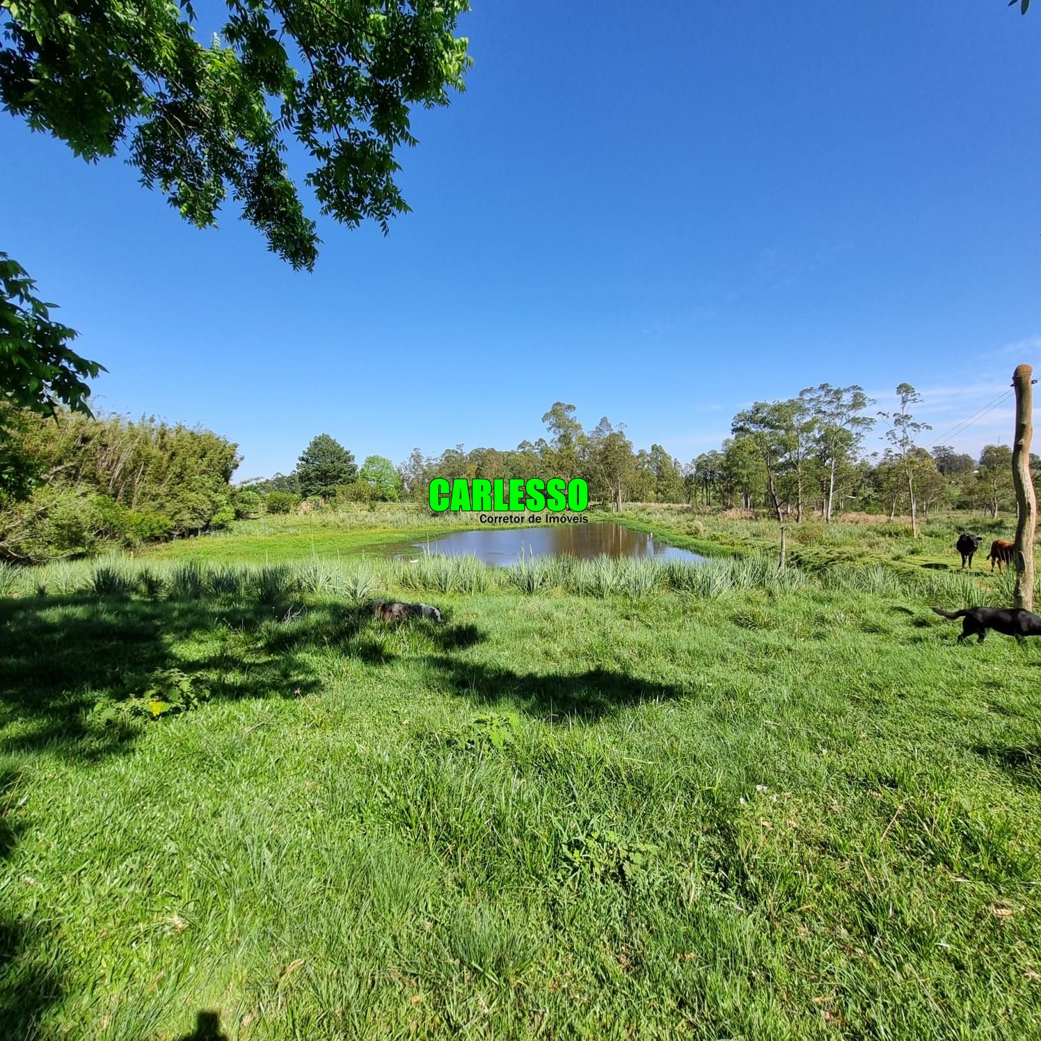 Chácara à venda com 5 quartos, 200m² - Foto 15