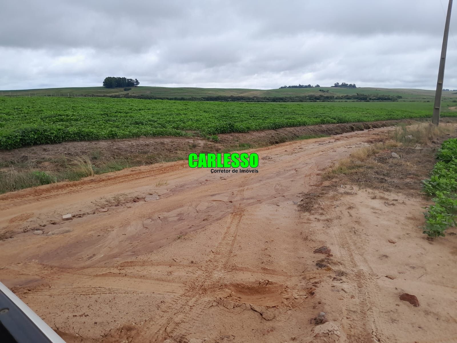 Fazenda/stio/chcara/haras  venda  no Zona Rural - So Gabriel, RS. Imveis