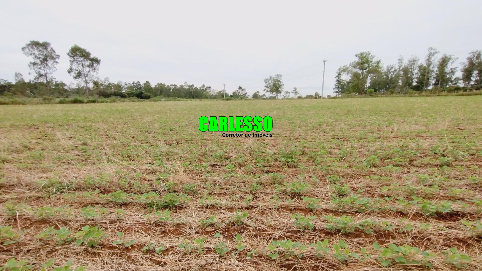 Terreno comercial  venda  no Zona Rural - So Pedro do Sul, RS. Imveis