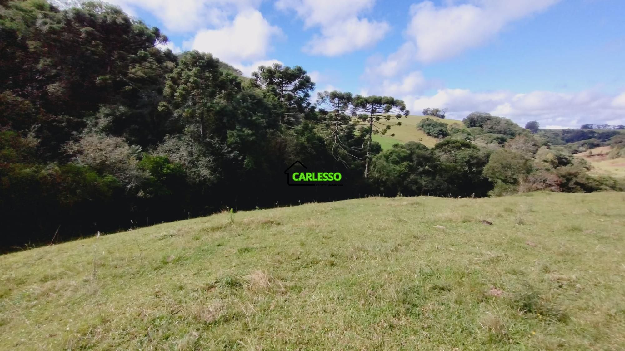 Fazenda/sítio/chácara/haras à venda  no Zona Rural - Ivora, RS. Imóveis