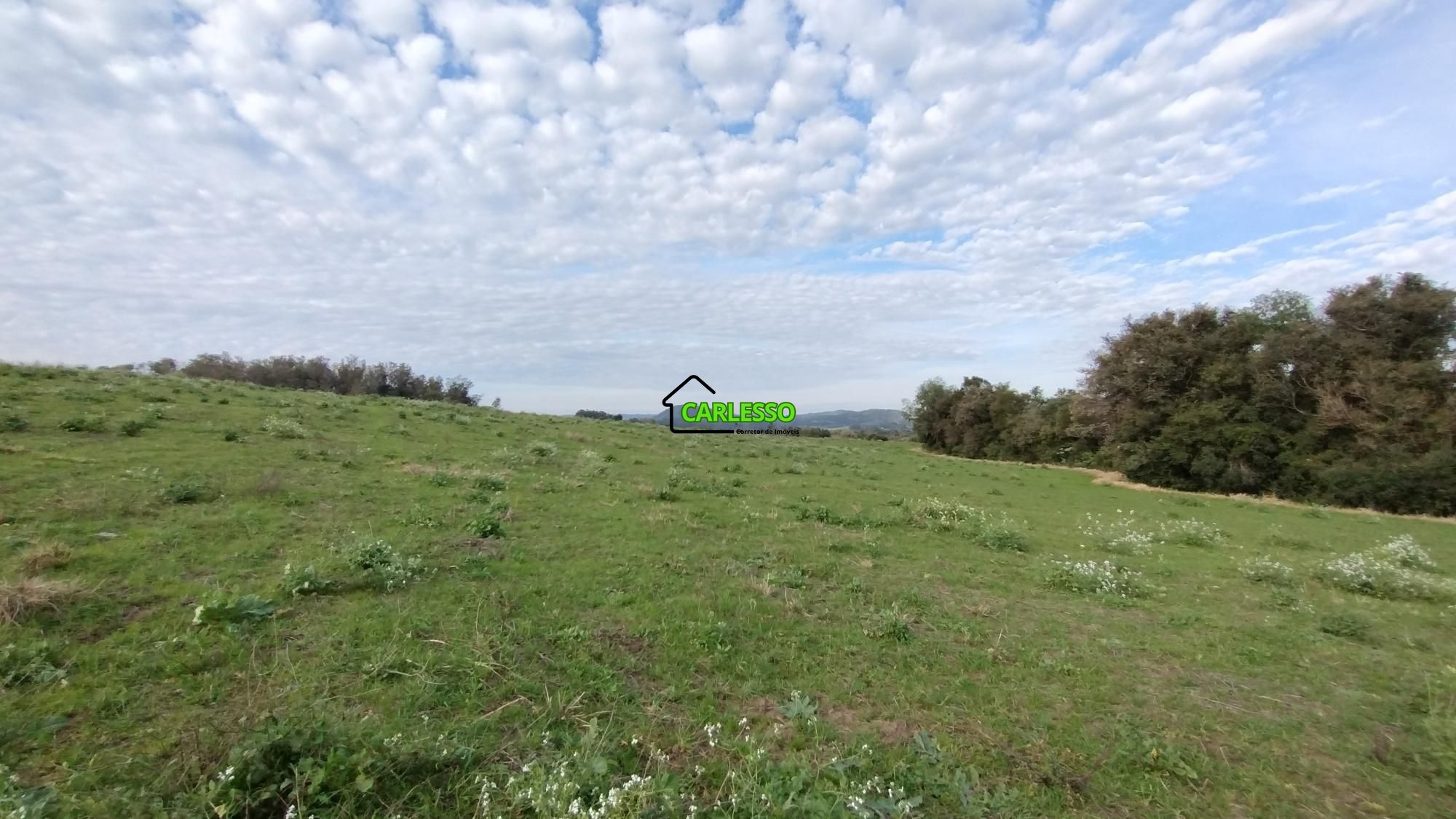 Fazenda/sítio/chácara/haras à venda  no Boca do Monte - Santa Maria, RS. Imóveis