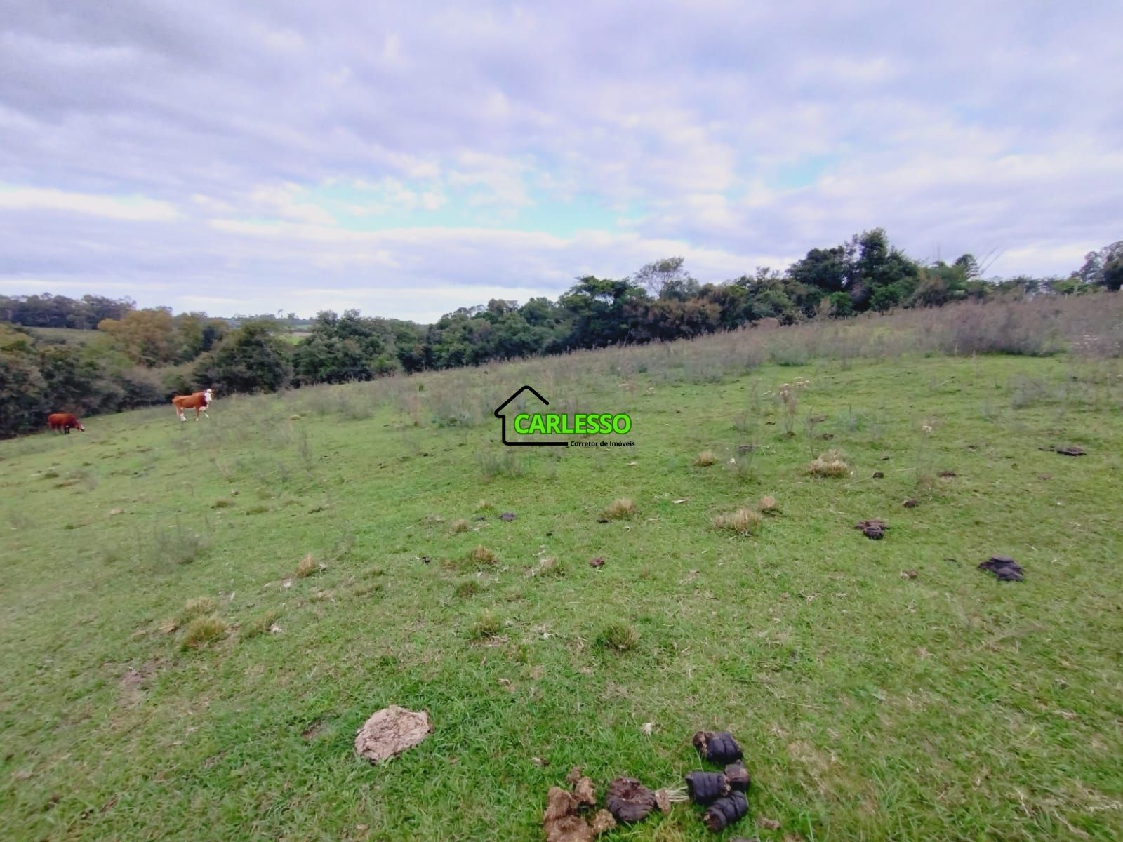 Terreno à venda, 70m² - Foto 11