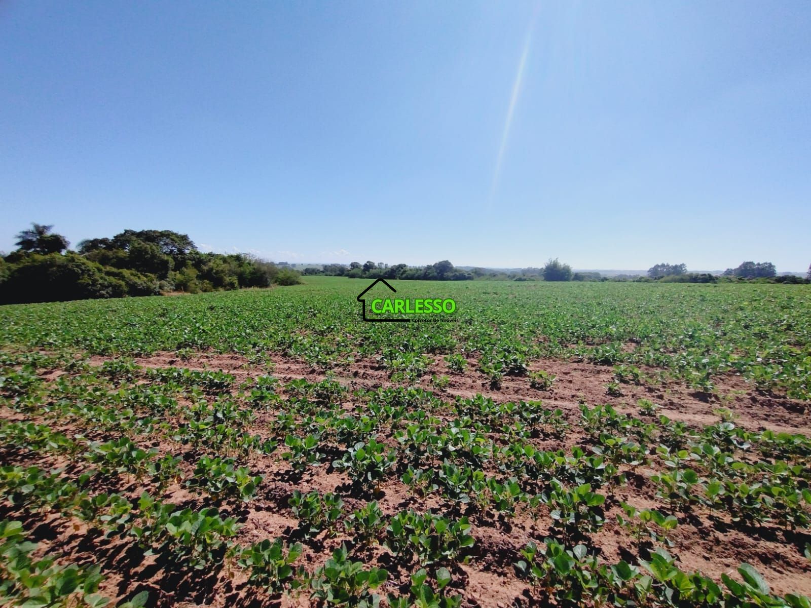 Fazenda/sítio/chácara/haras à venda  no Catuçaba - São Gabriel, RS. Imóveis