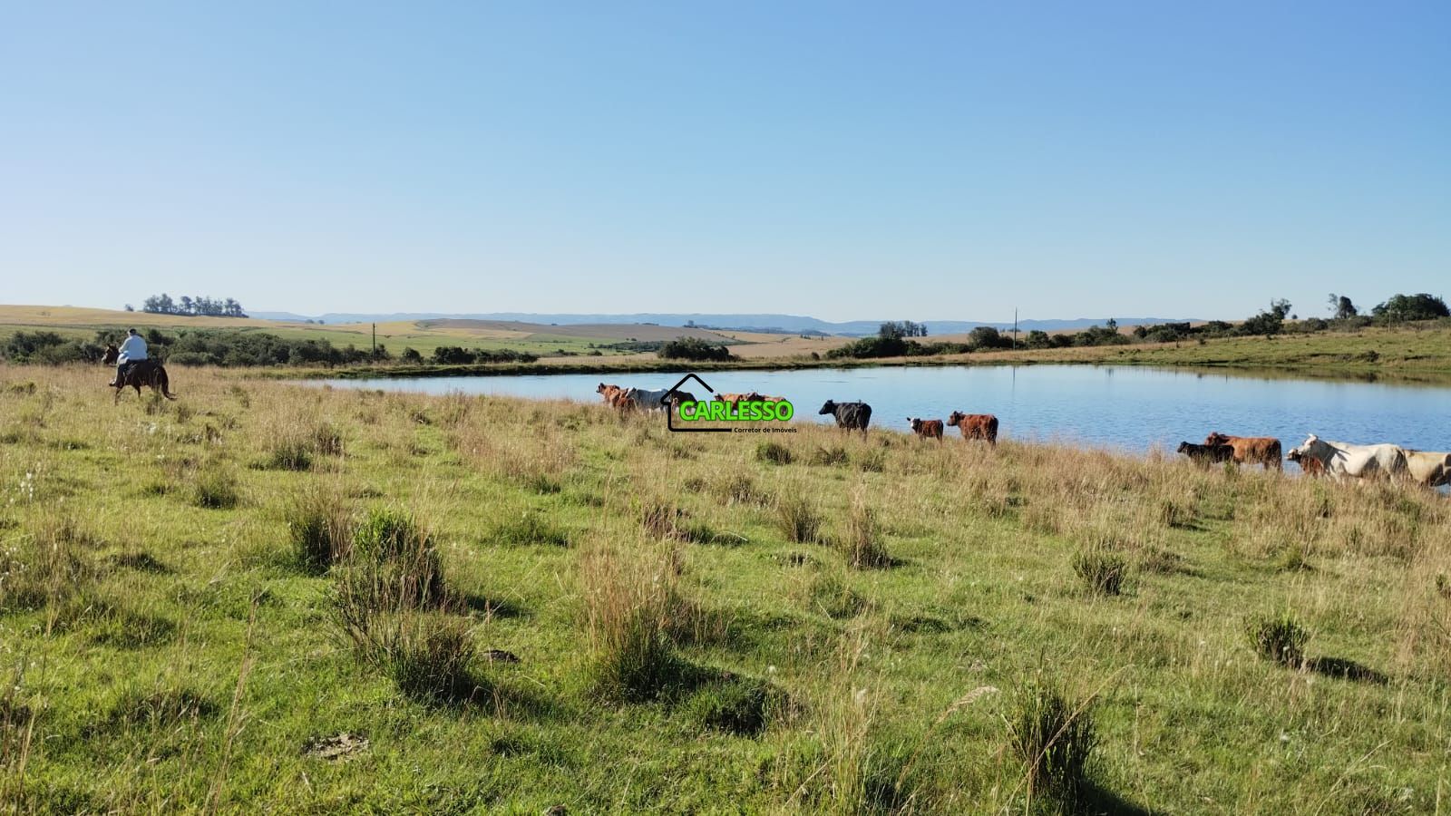 Fazenda/sítio/chácara/haras à venda  no São José Da Porteirinha - Dilermando de Aguiar, RS. Imóveis