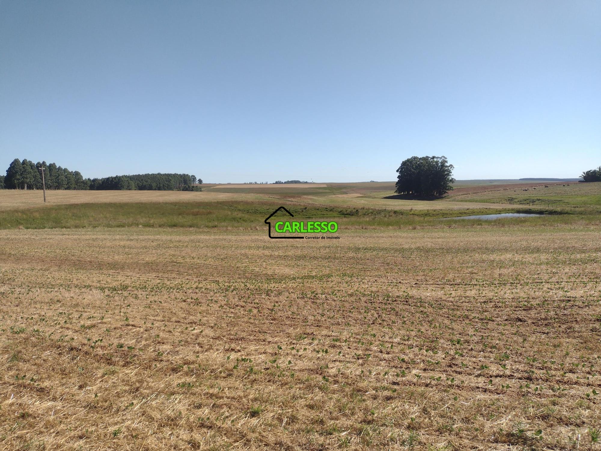 Fazenda/sítio/chácara/haras à venda  no Zona Rural - Cacequi, RS. Imóveis