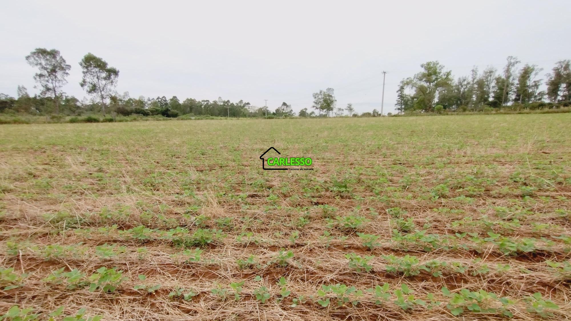 Fazenda/sítio/chácara/haras à venda  no Zona Rural - São Pedro do Sul, RS. Imóveis