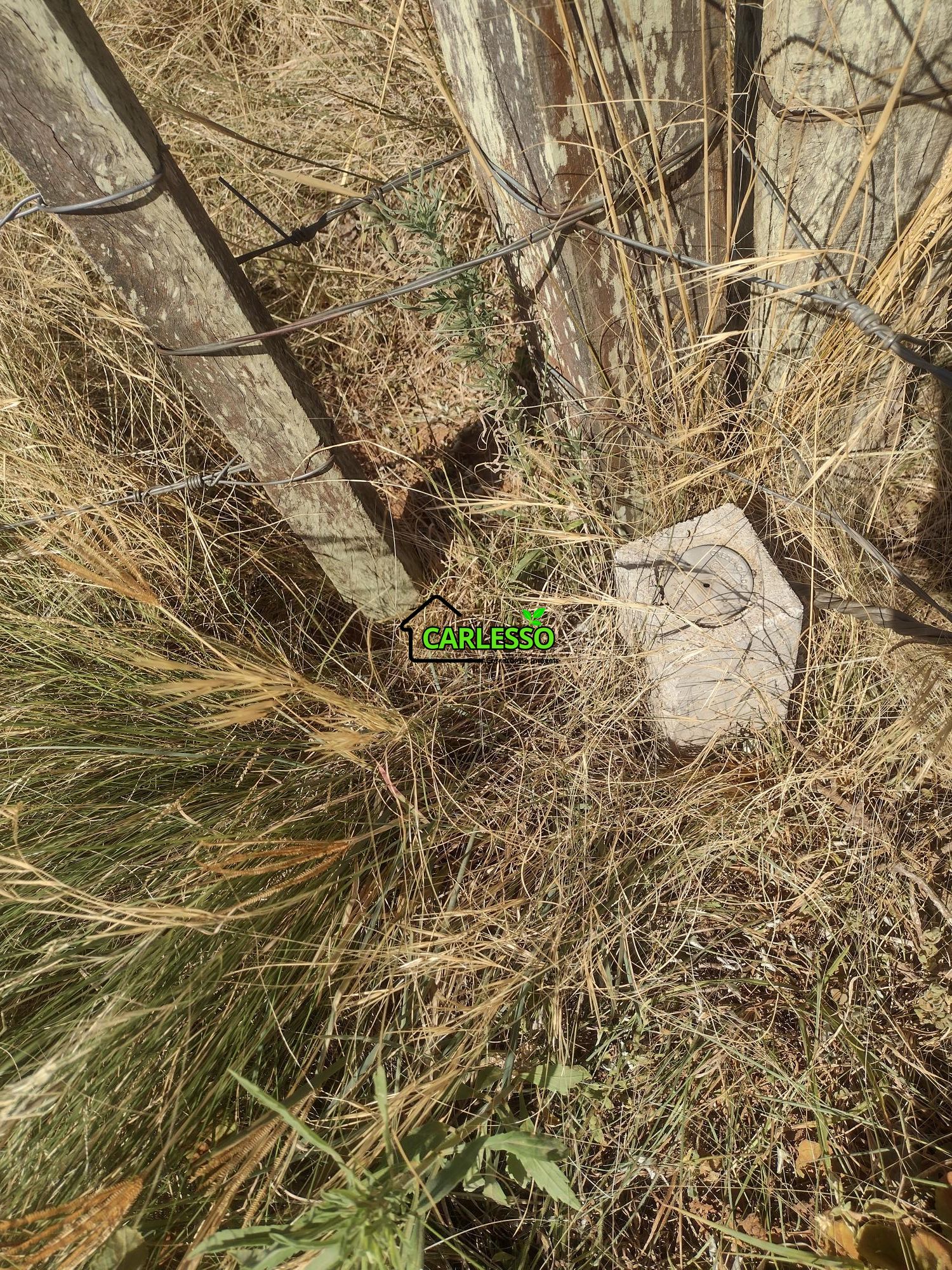 Sítio, 18 hectares - Foto 66