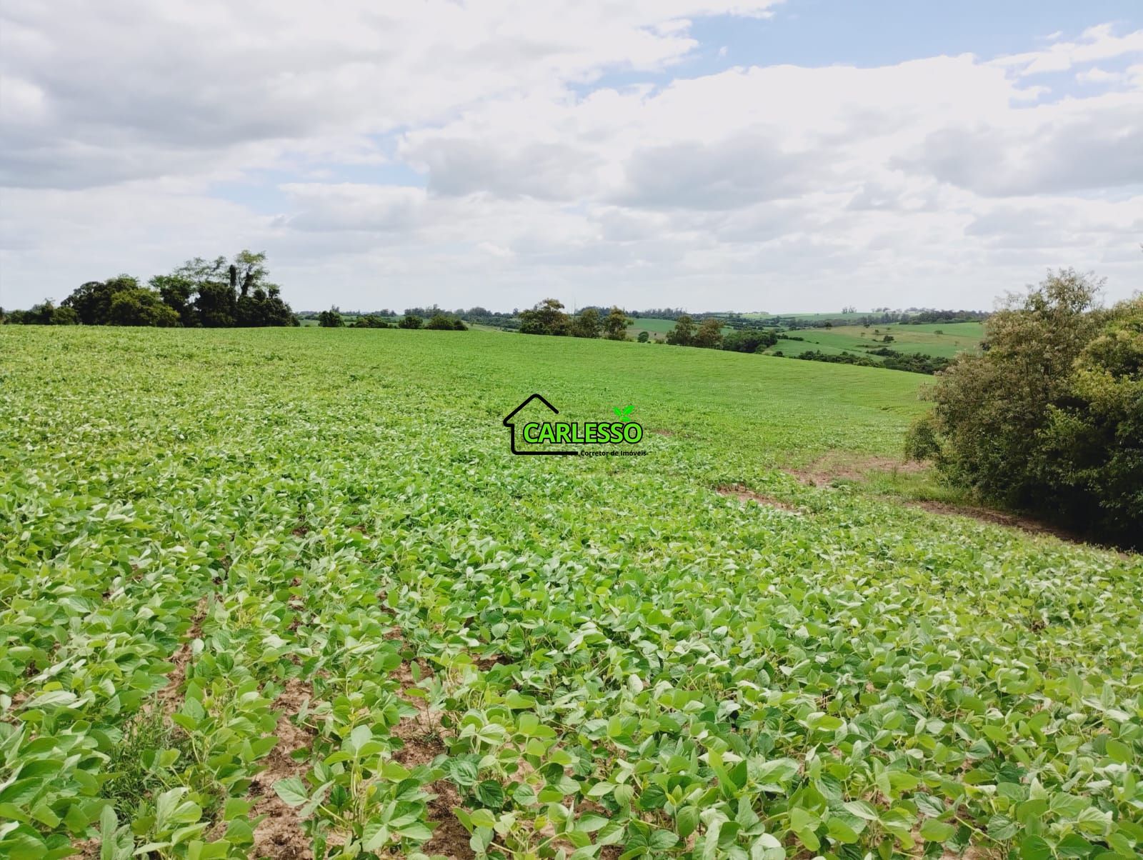 Sítio, 25 hectares - Foto 34