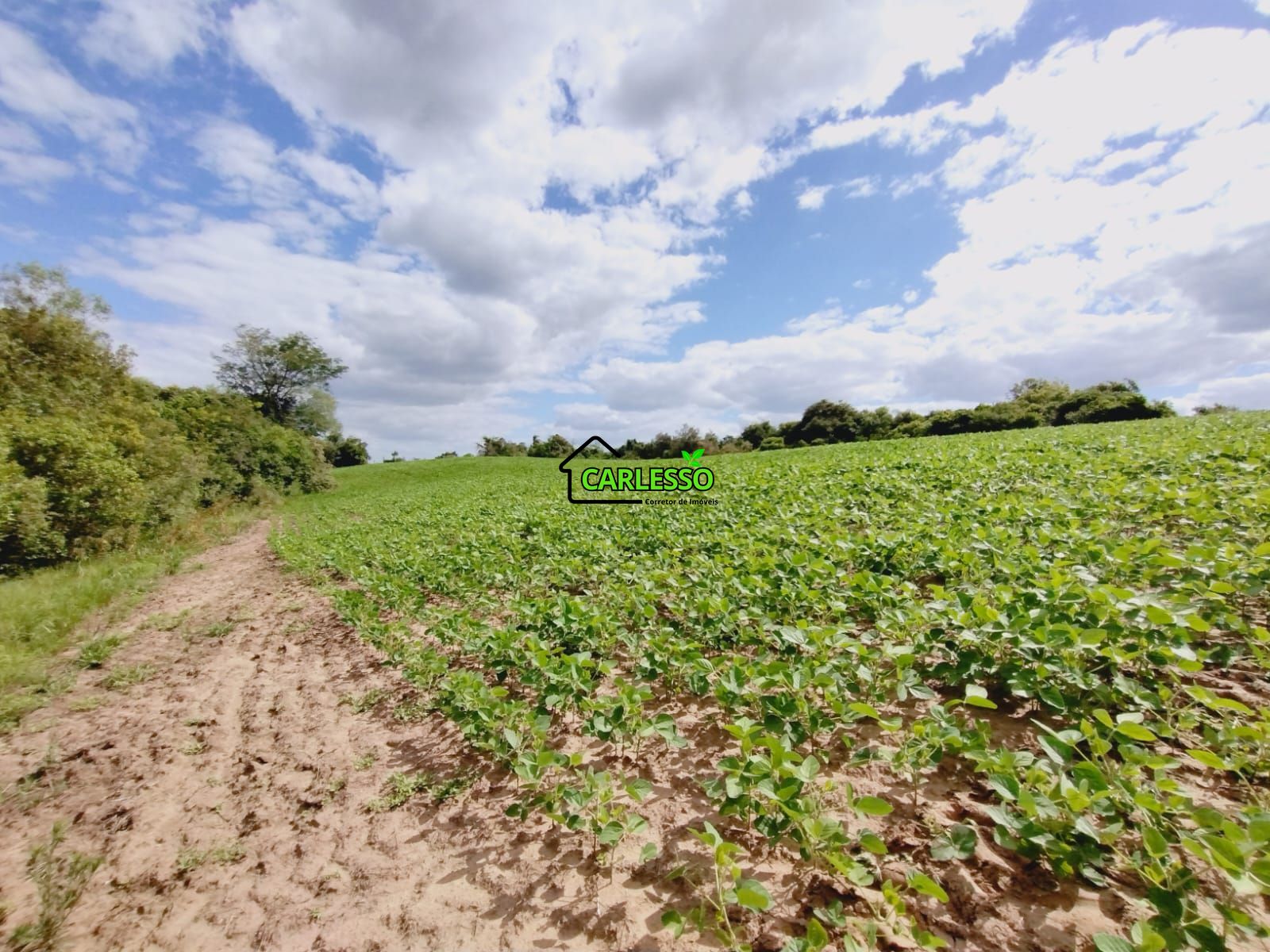 Sítio, 25 hectares - Foto 41