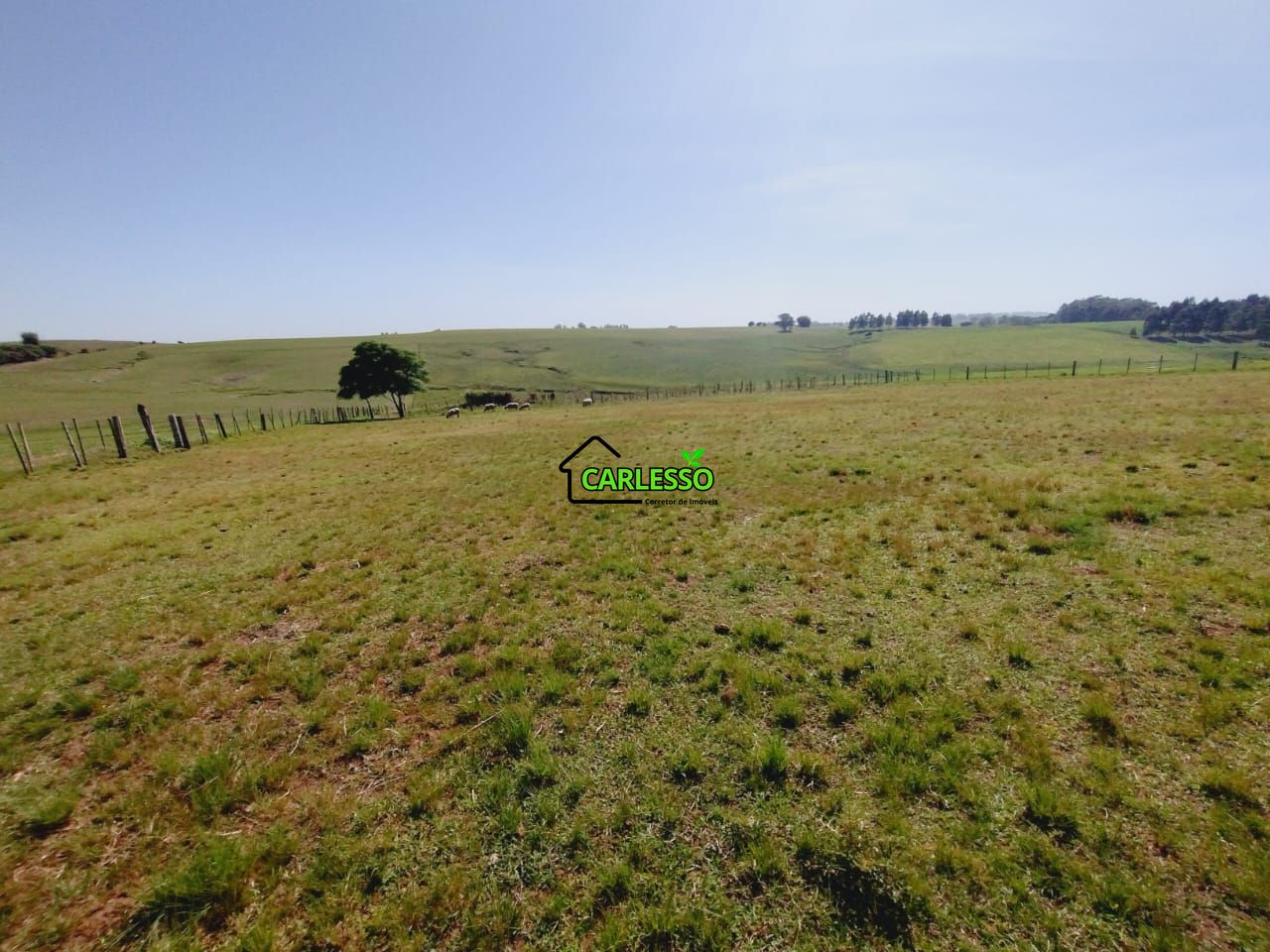 Chácara, 2 quartos, 2 hectares - Foto 32