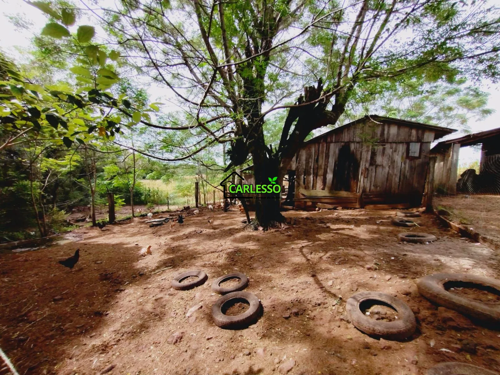Sítio, 3 quartos, 25 hectares - Foto 21