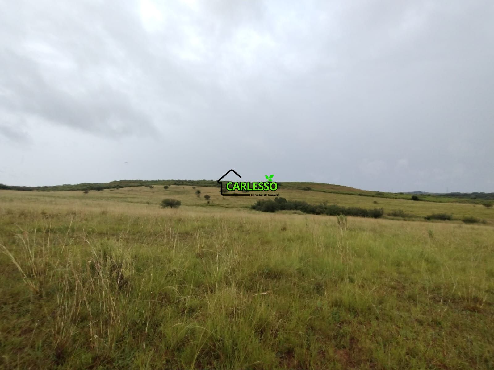 Fazenda de 80 ha em Alegrete