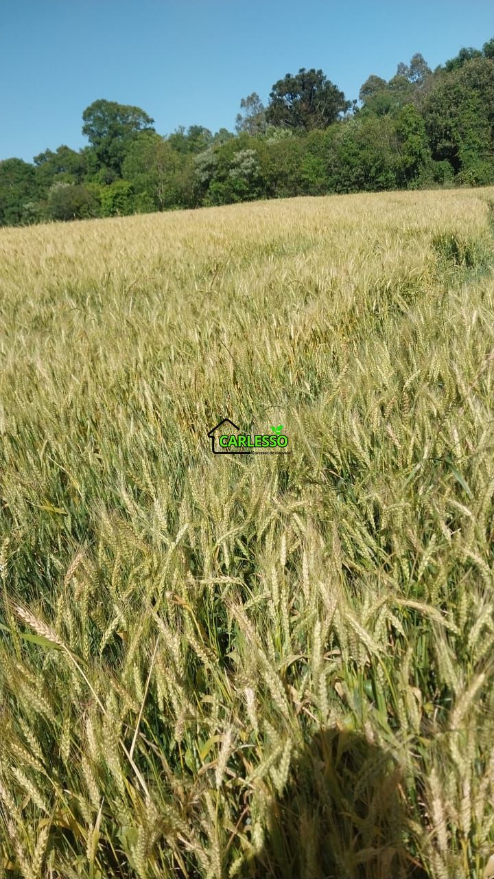 Área de 11,4 ha com casa