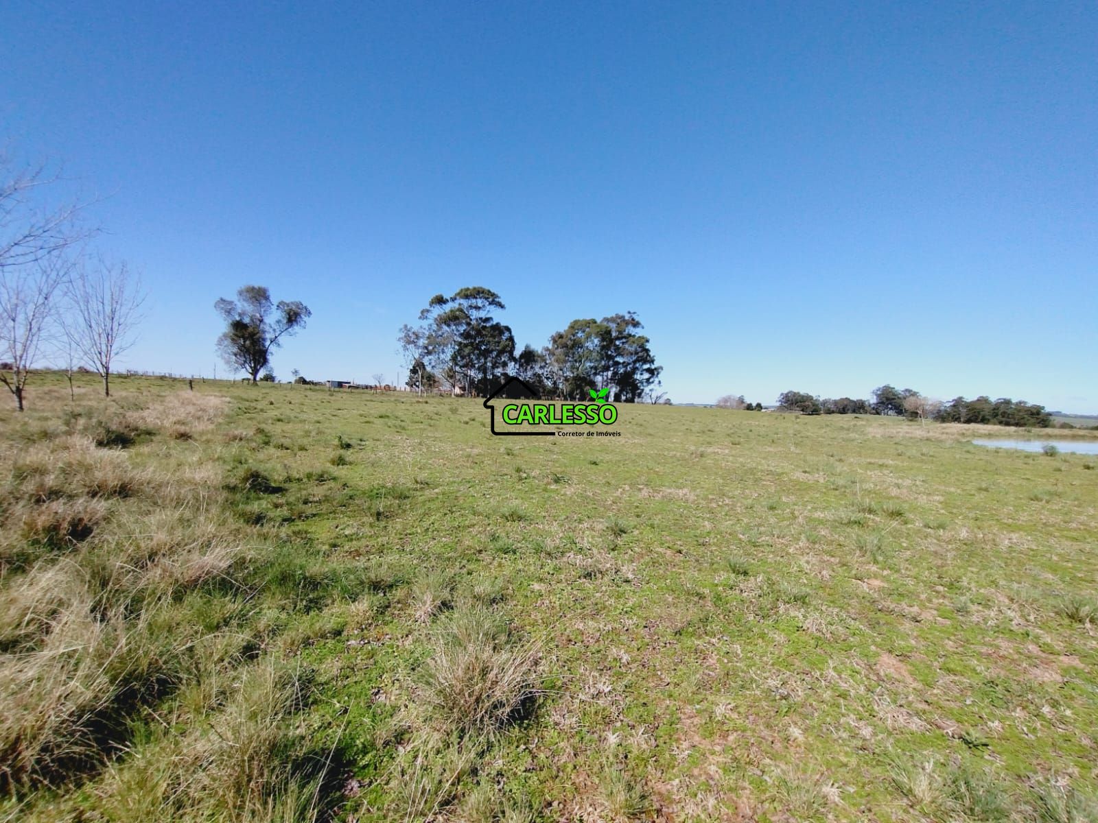 Chácara, 3 quartos, 12 hectares - Foto 16