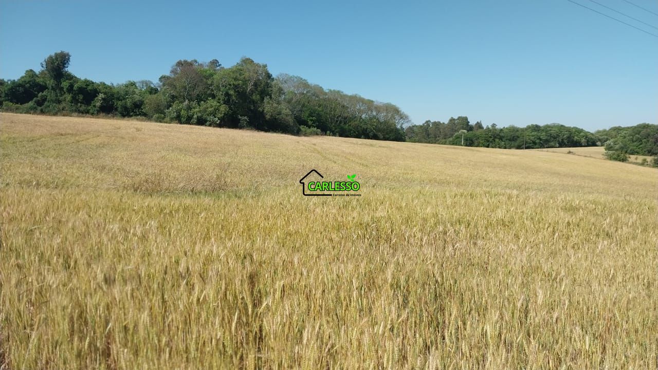 Área de 11,4 ha com casa