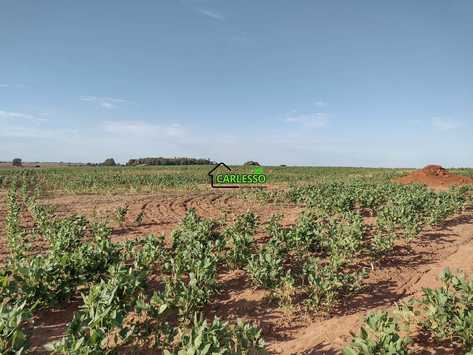 Fazenda com 63 ha