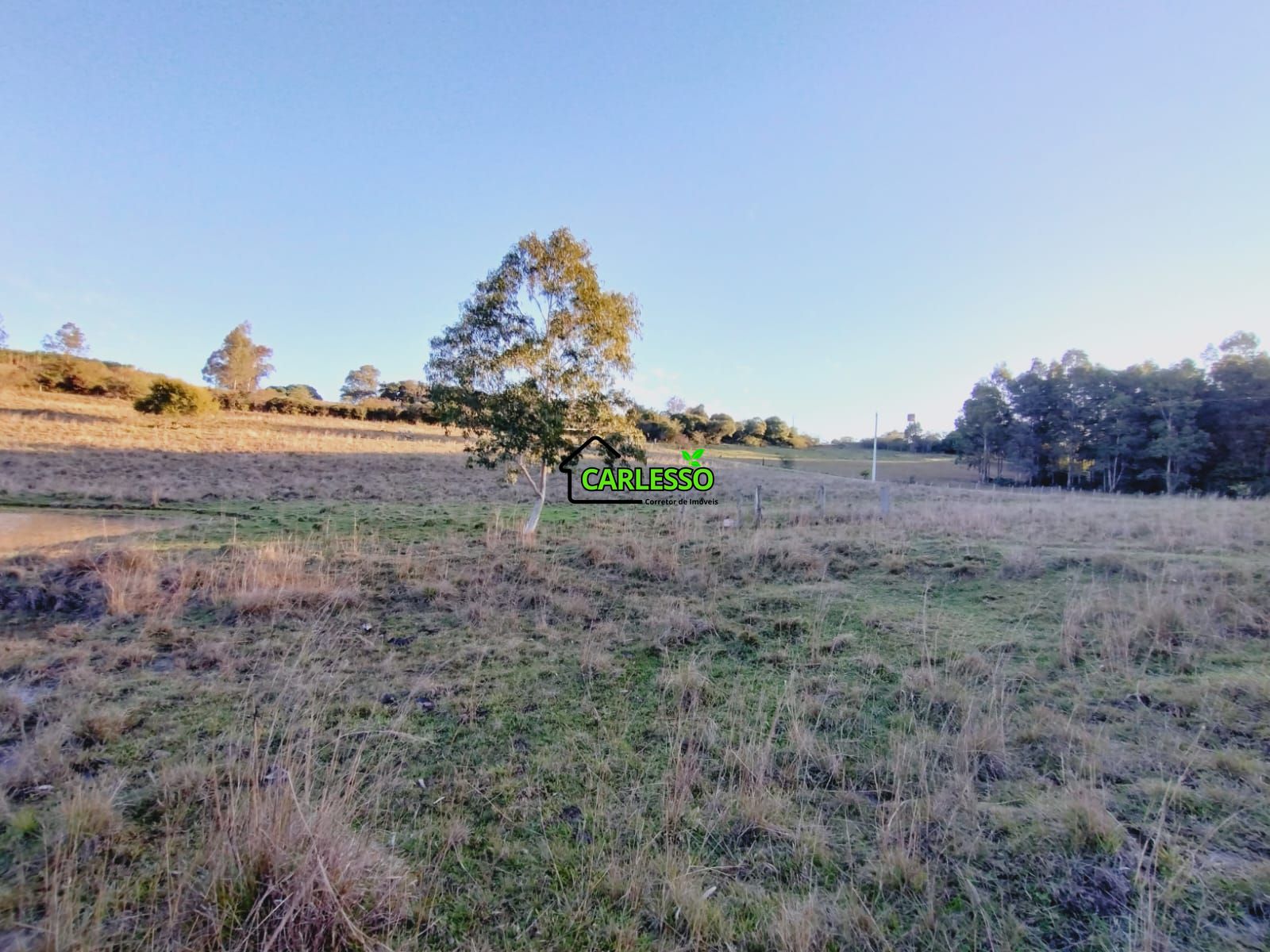 Sítio, 3 quartos, 7 hectares - Foto 34