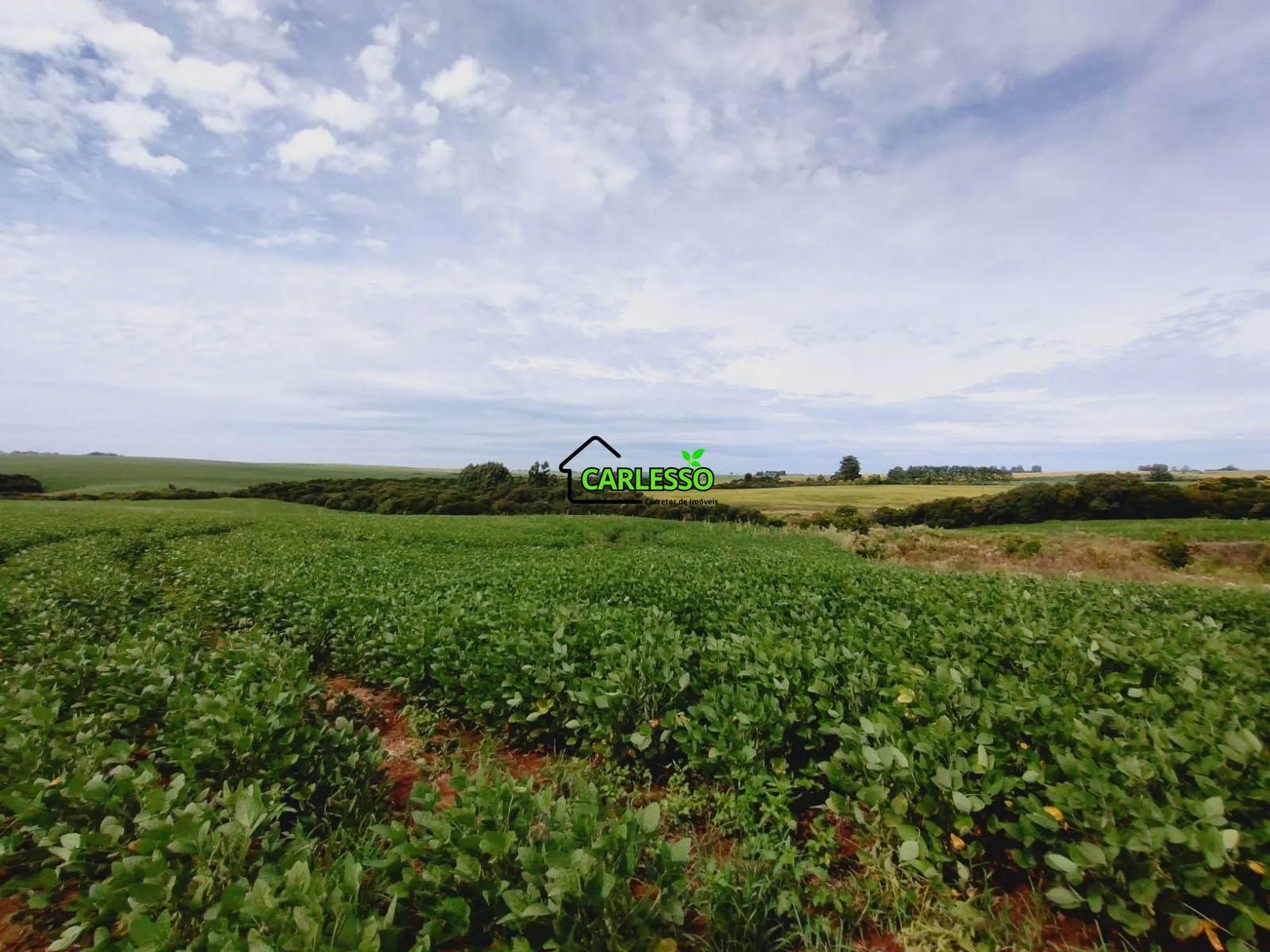 Sítio, 3 quartos, 25 hectares - Foto 43
