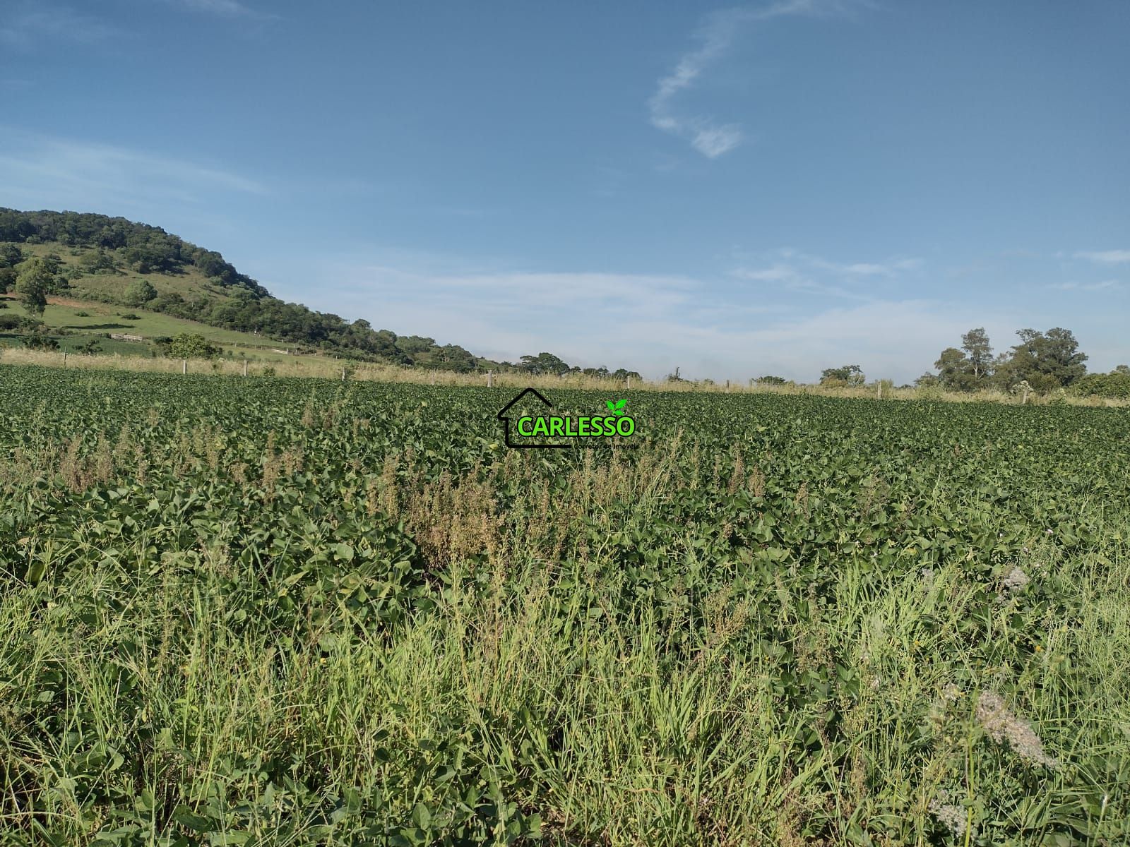Área de 8,5 ha a venda