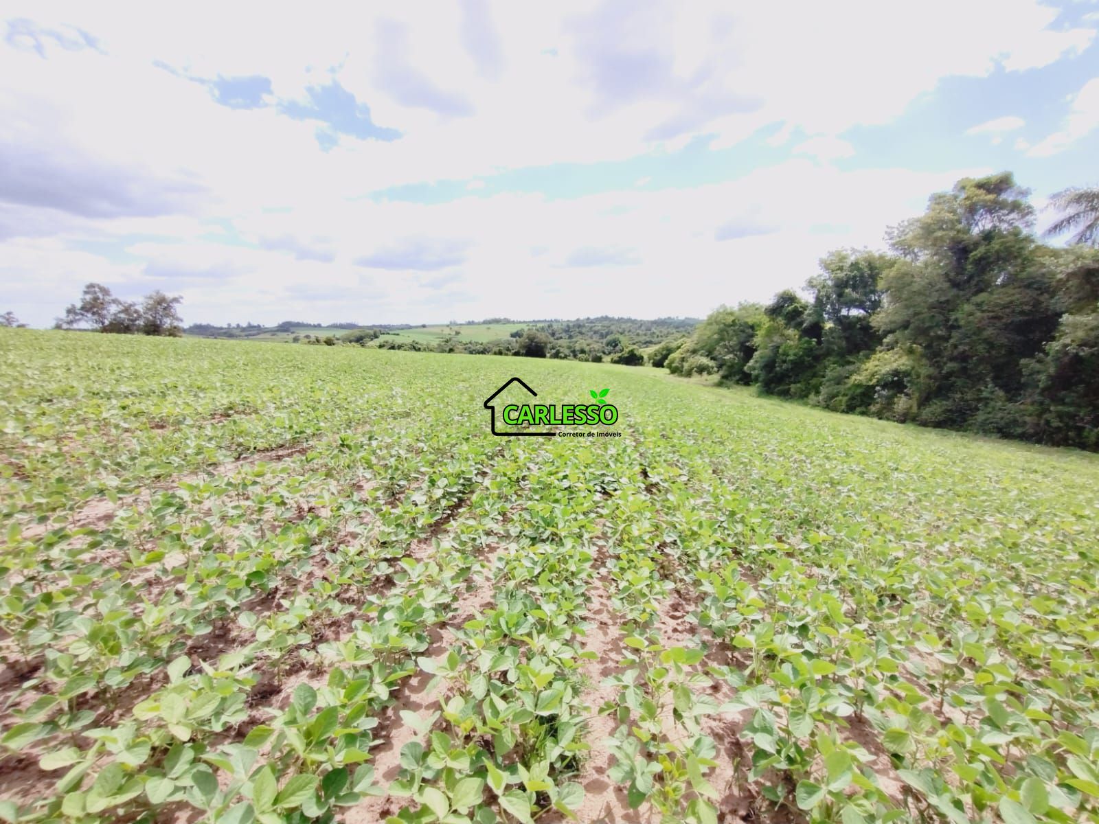 Sítio, 25 hectares - Foto 21