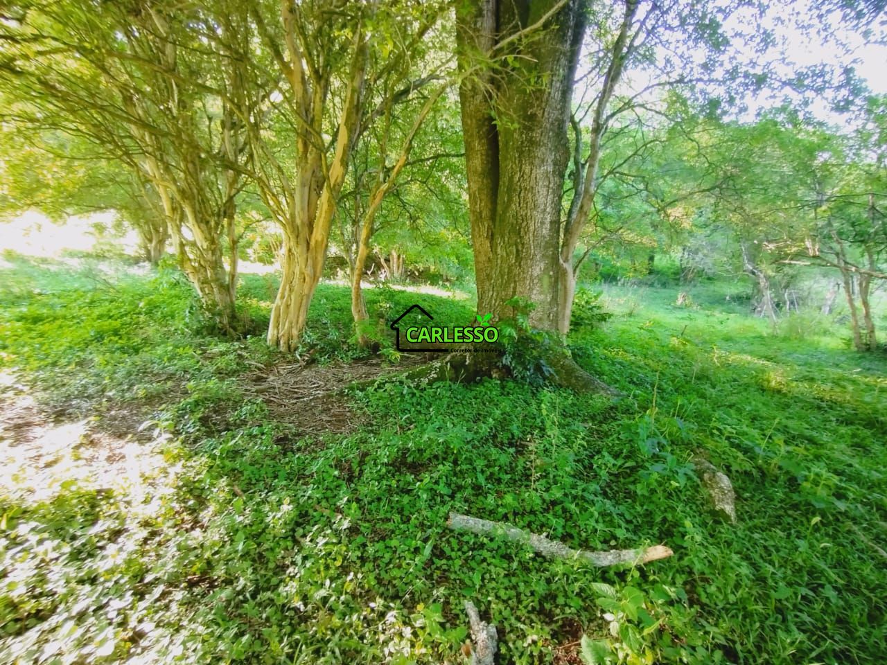 Chácara, 2 quartos, 7 hectares - Foto 42