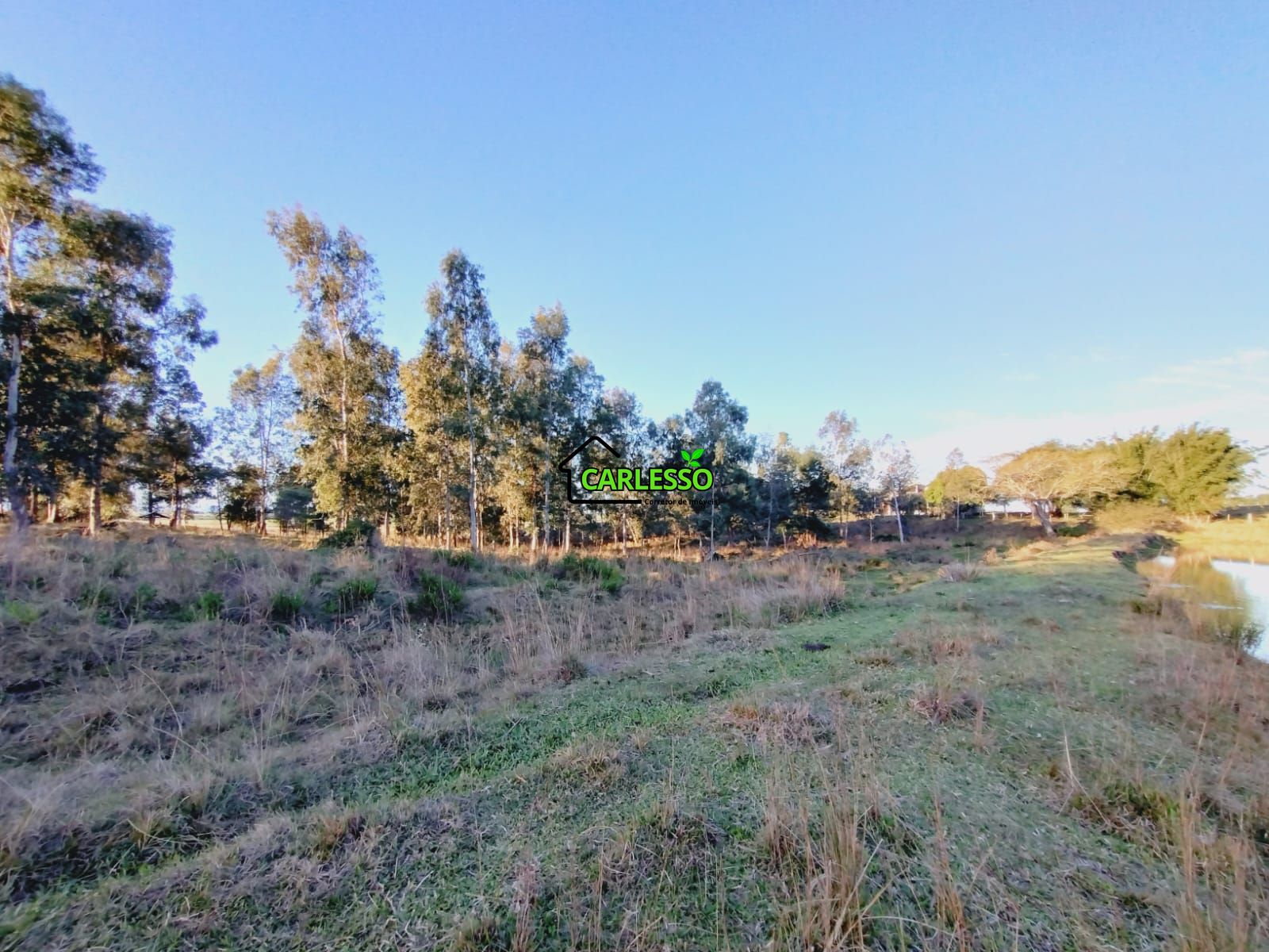 Sítio, 3 quartos, 7 hectares - Foto 10