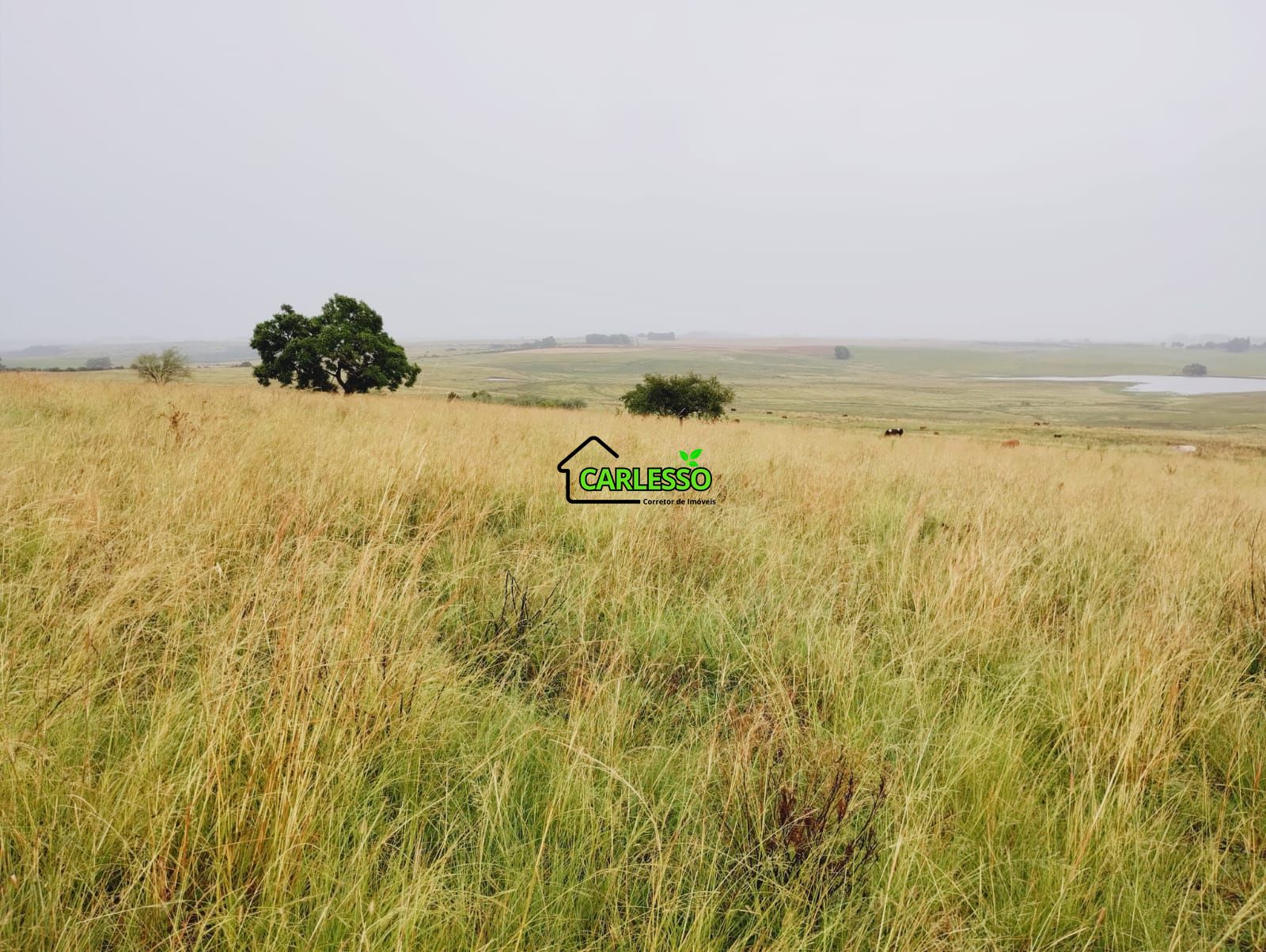 Fazenda, 120 m² - Foto 21