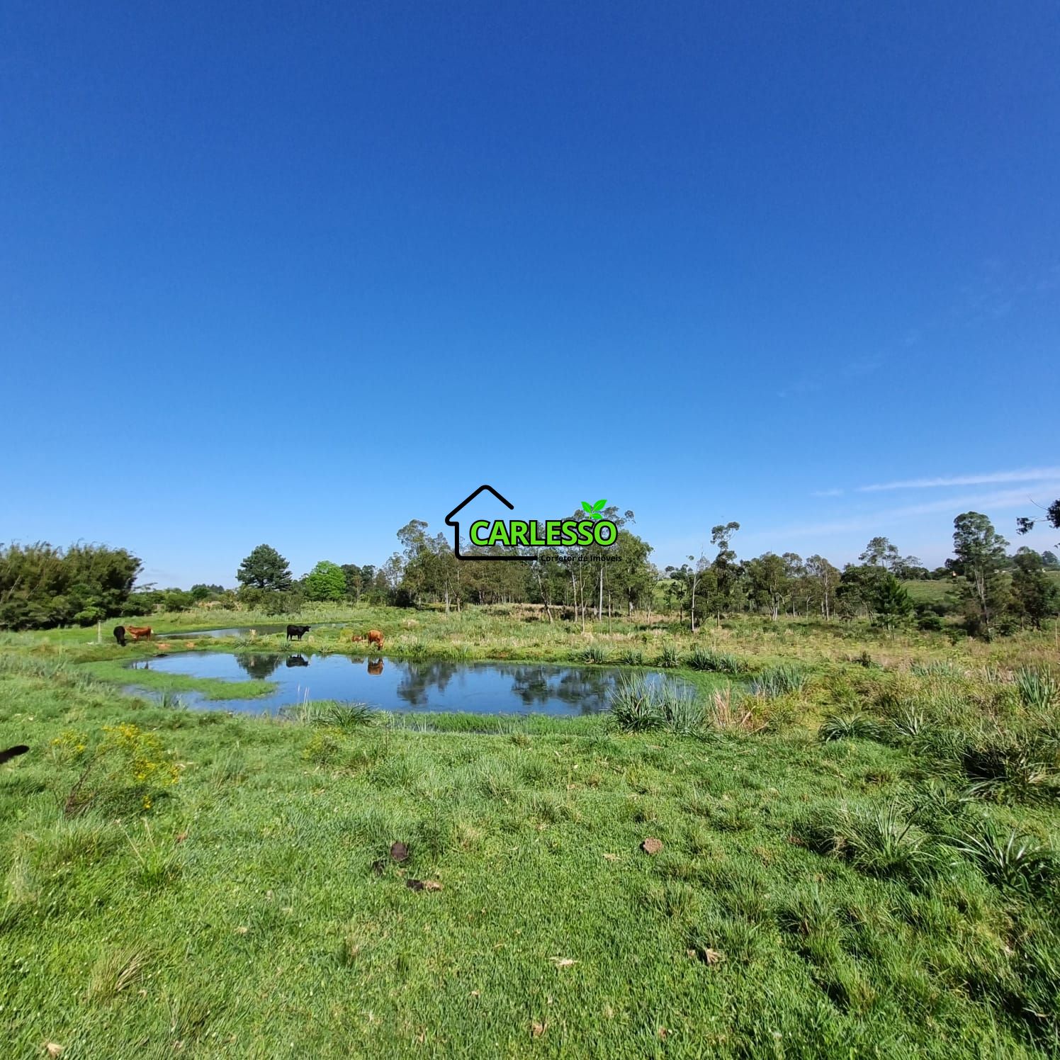 Chácara, 5 quartos, 7 hectares - Foto 19