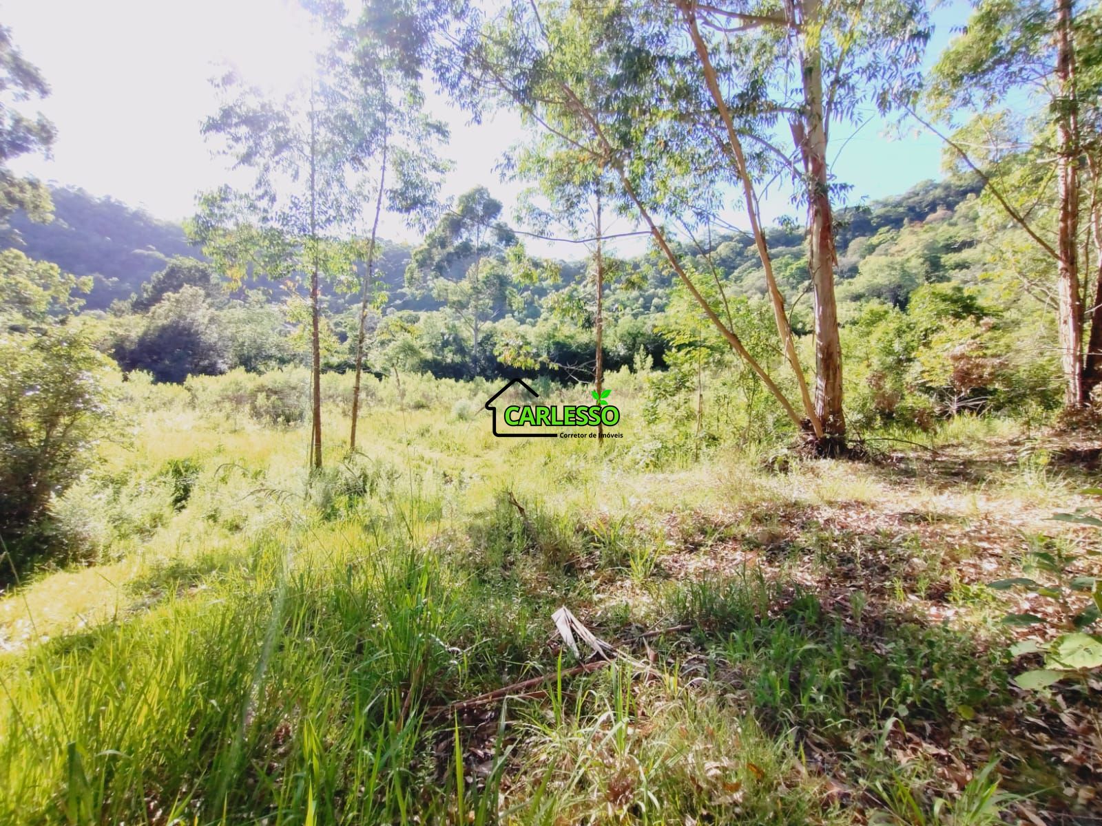 Sítio, 9 hectares - Foto 26