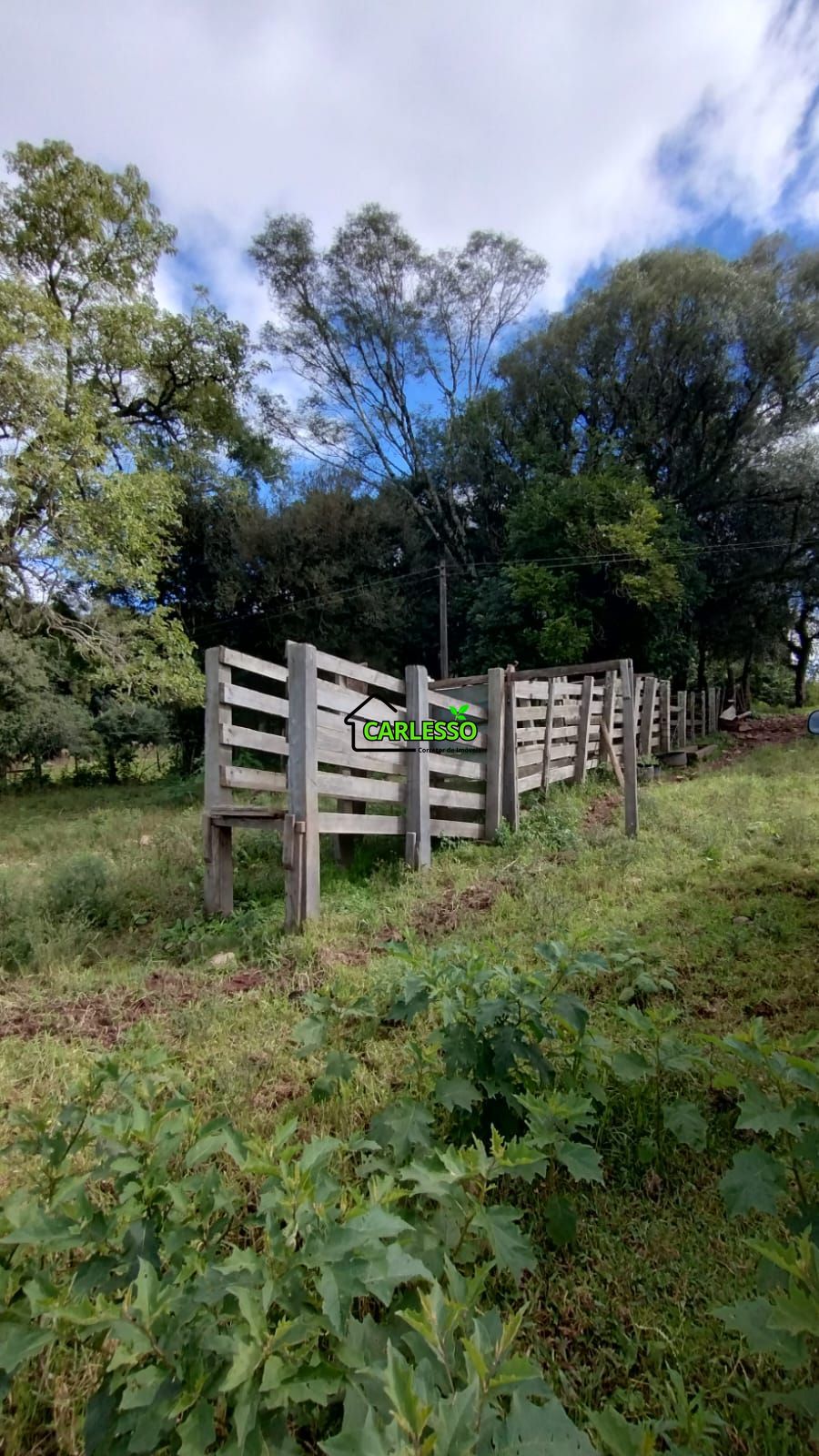 Área rural de 6 ha
