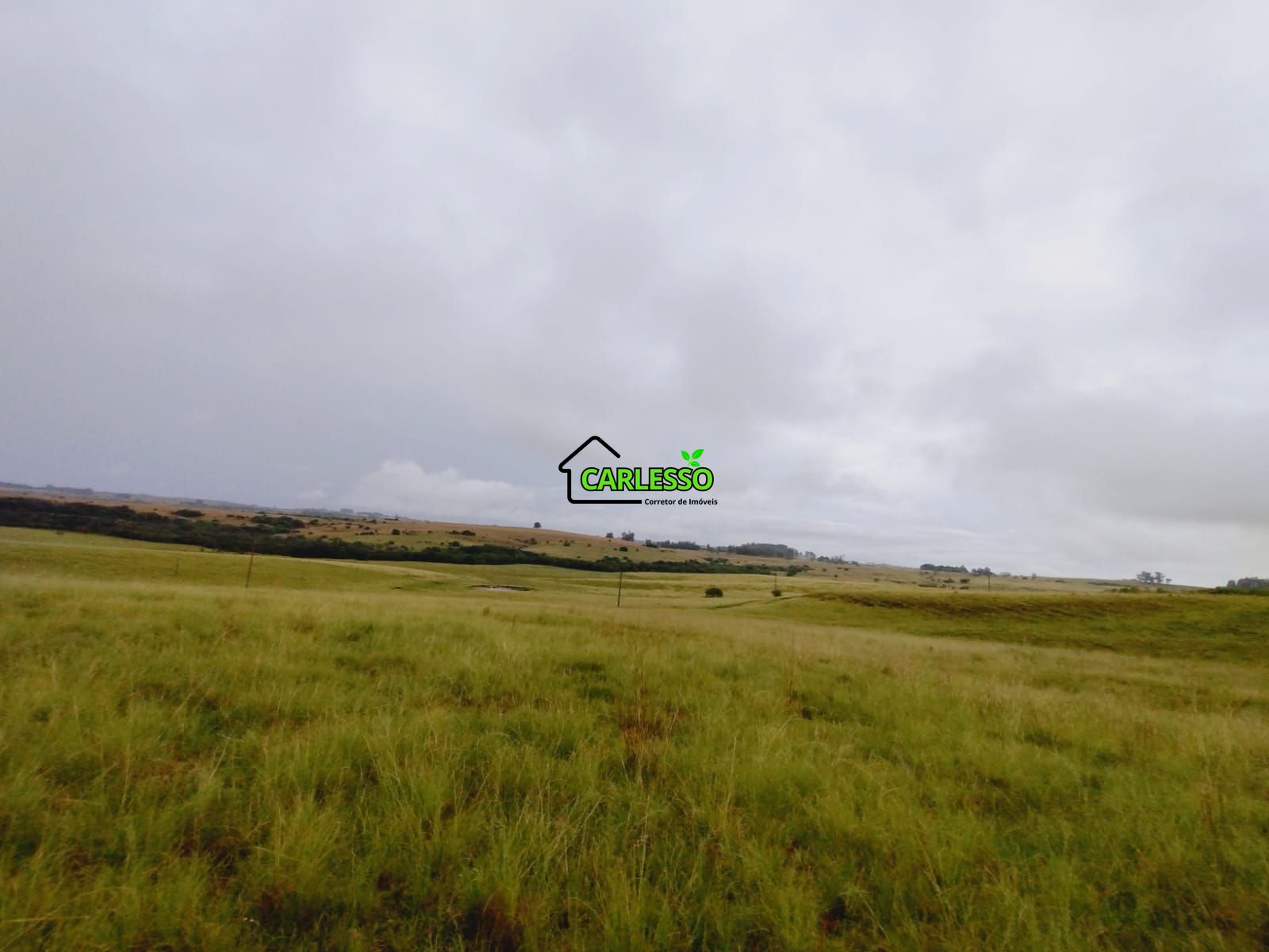 Fazenda de 80 ha em Alegrete