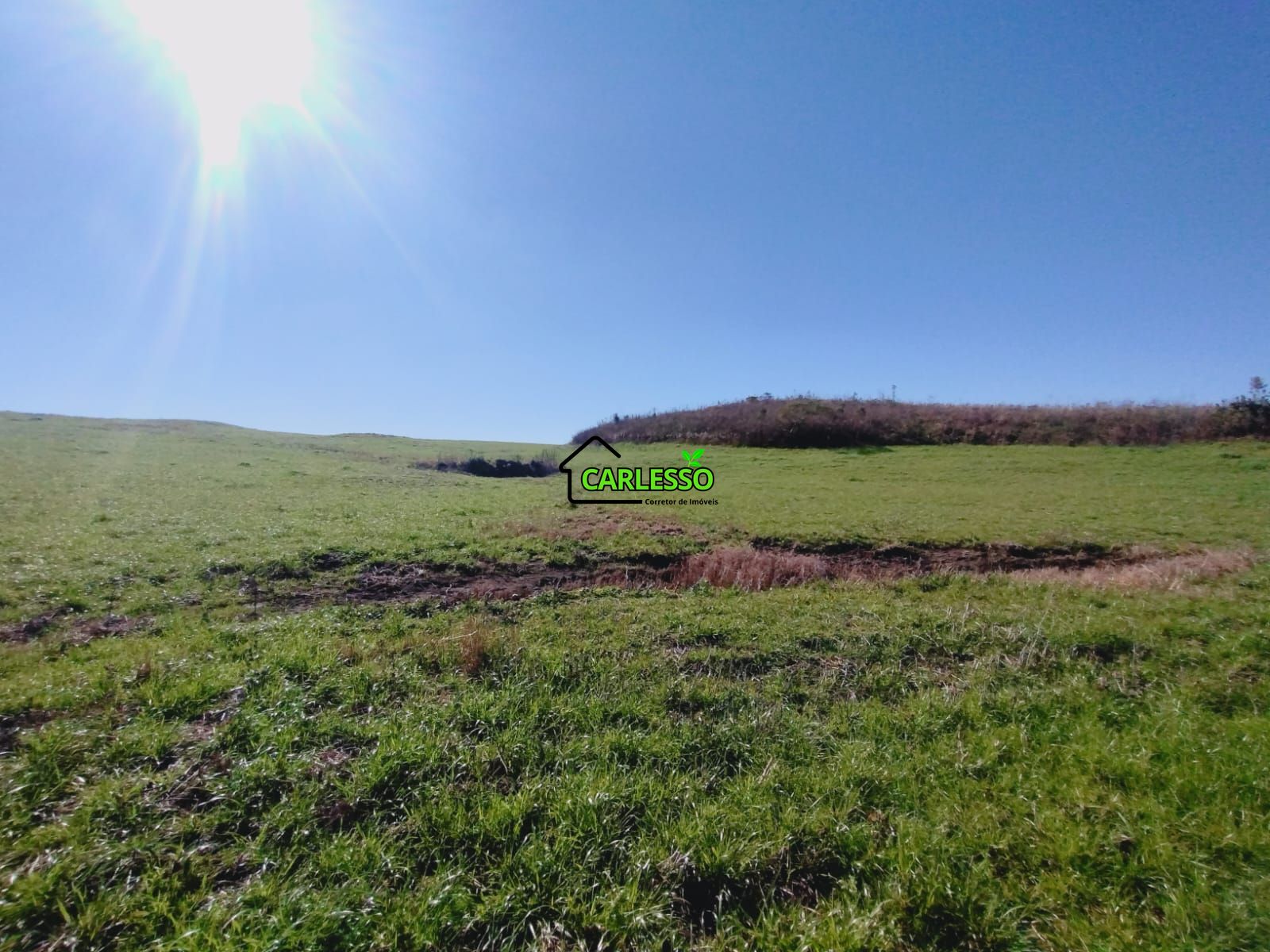 Sítio, 19 hectares - Foto 31