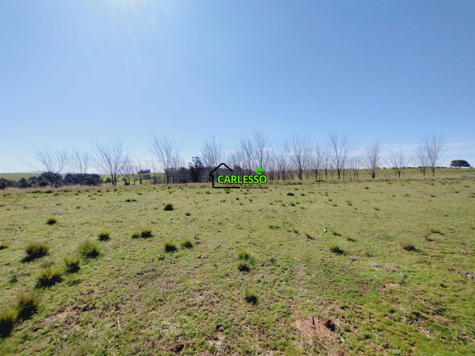 Chácara, 3 quartos, 12 hectares - Foto 18