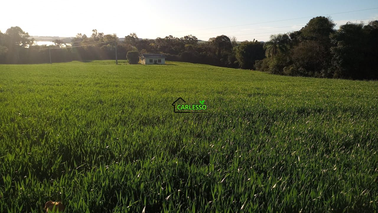 Área de 11,4 ha com casa