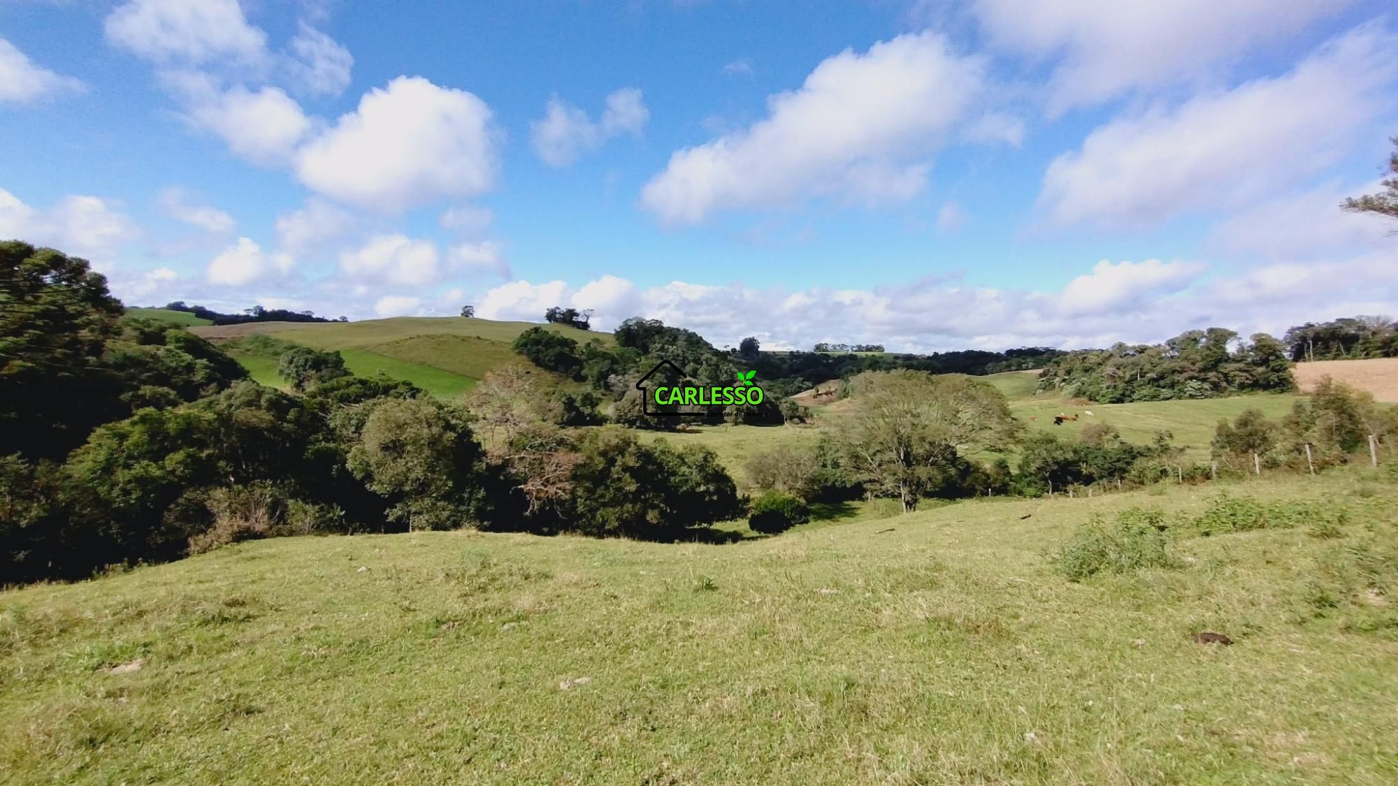 Área rural de 6 ha