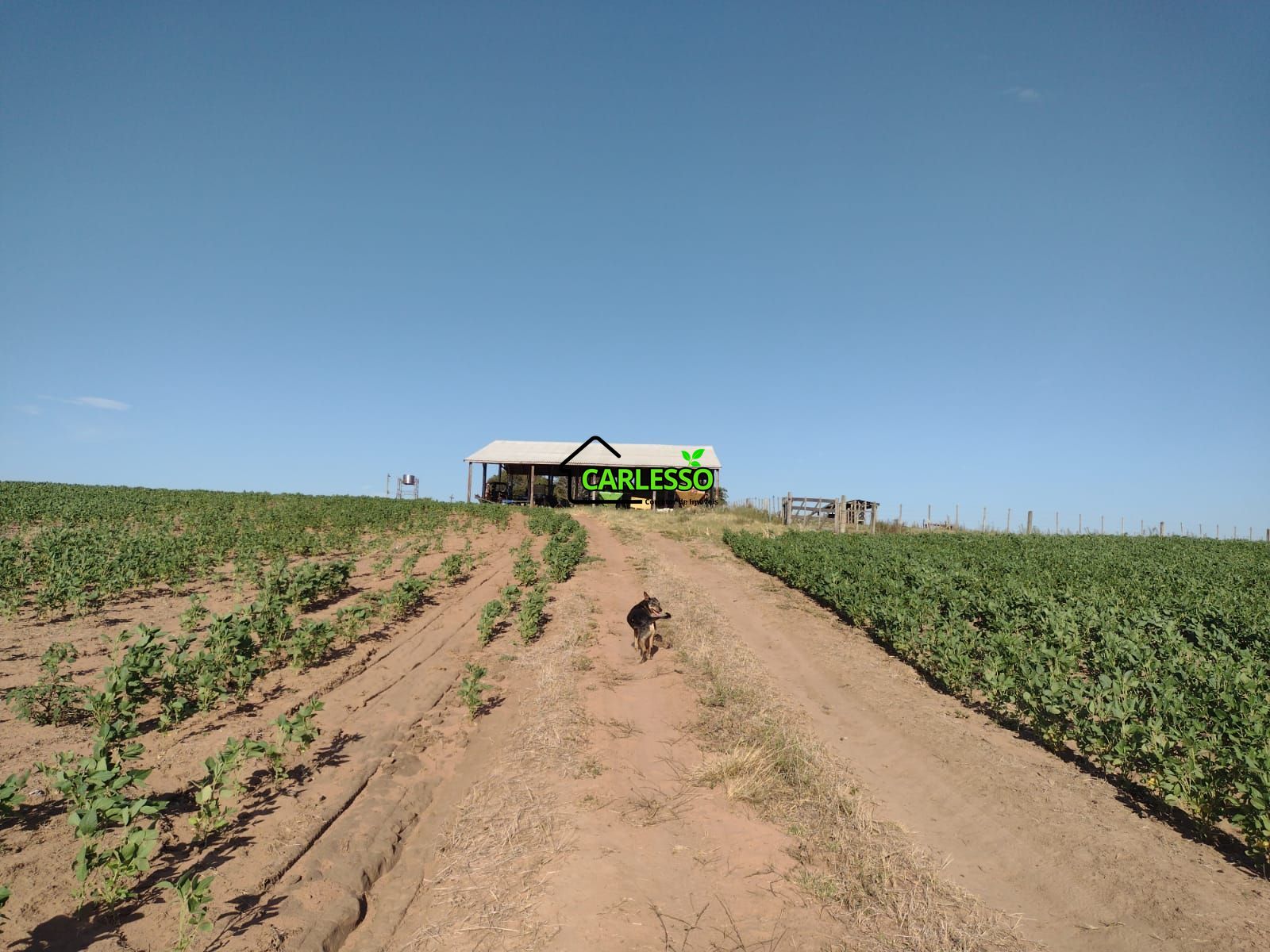 Fazenda com 63 ha