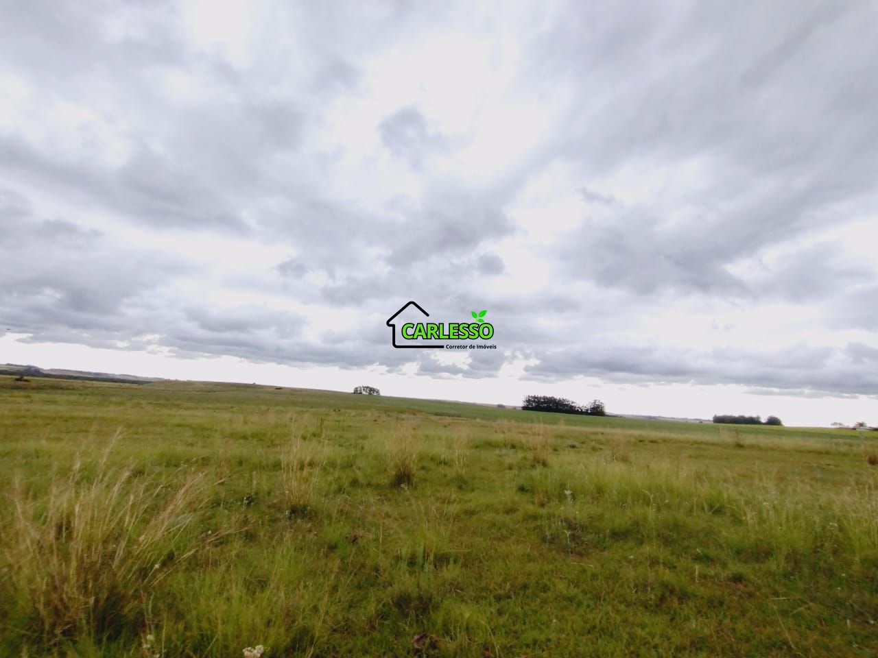 Fazenda/sítio/chácara/haras à venda  no Zona Rural - Alegrete, RS. Imóveis