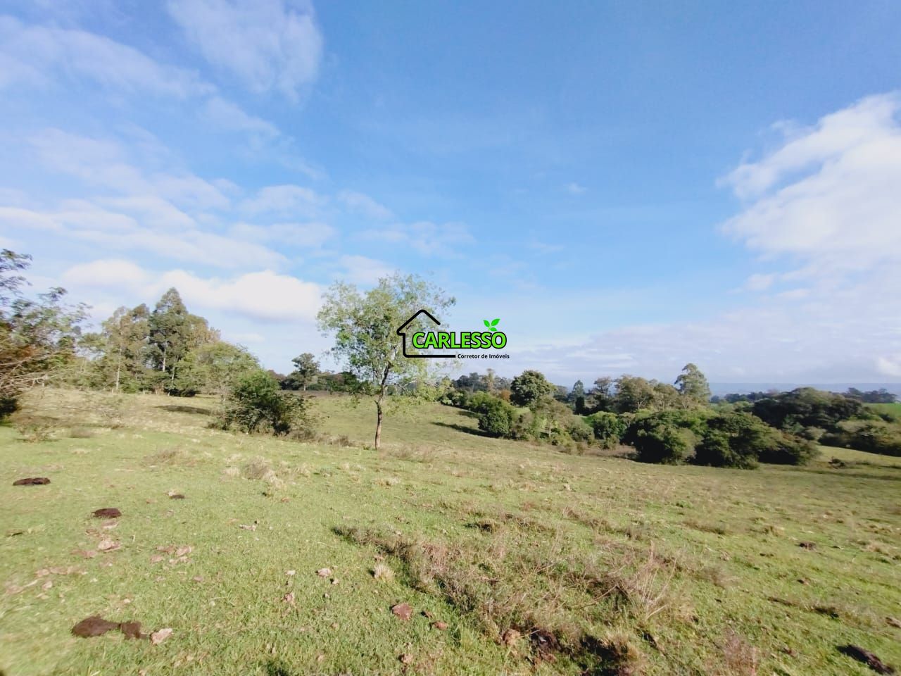 Chácara, 9 hectares - Foto 42