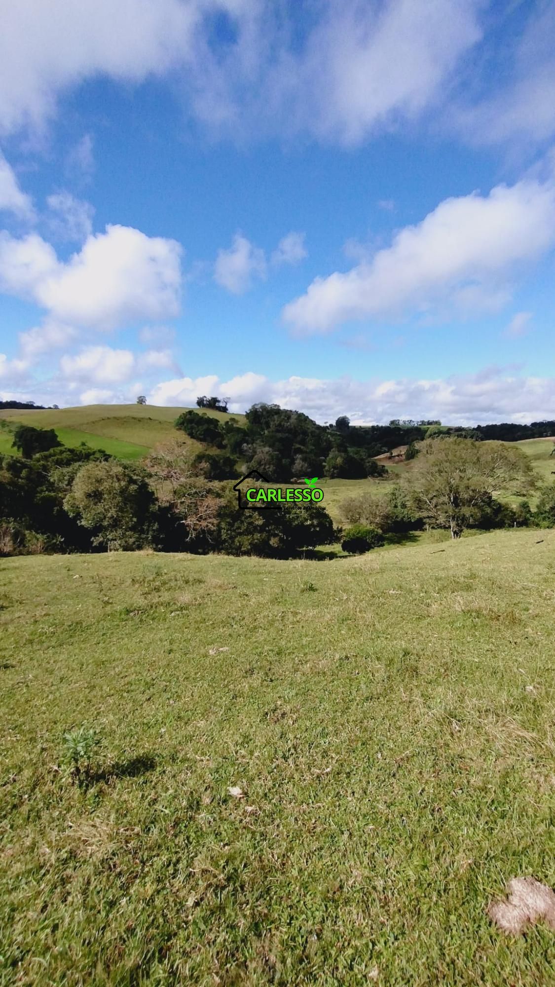 Área rural de 6 ha