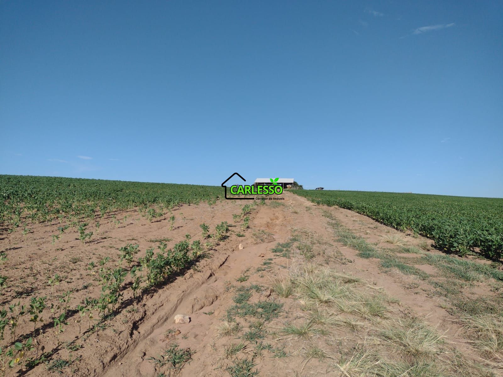 Fazenda com 63 ha