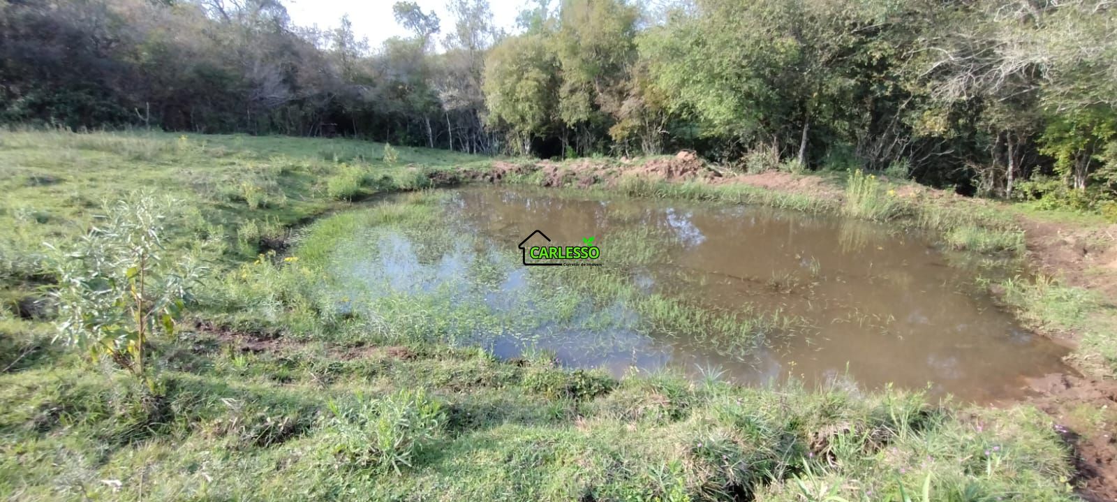 Área rural de 5 ha