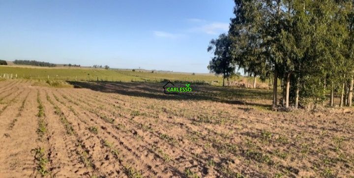 Chácara, 2 quartos, 2 hectares - Foto 16