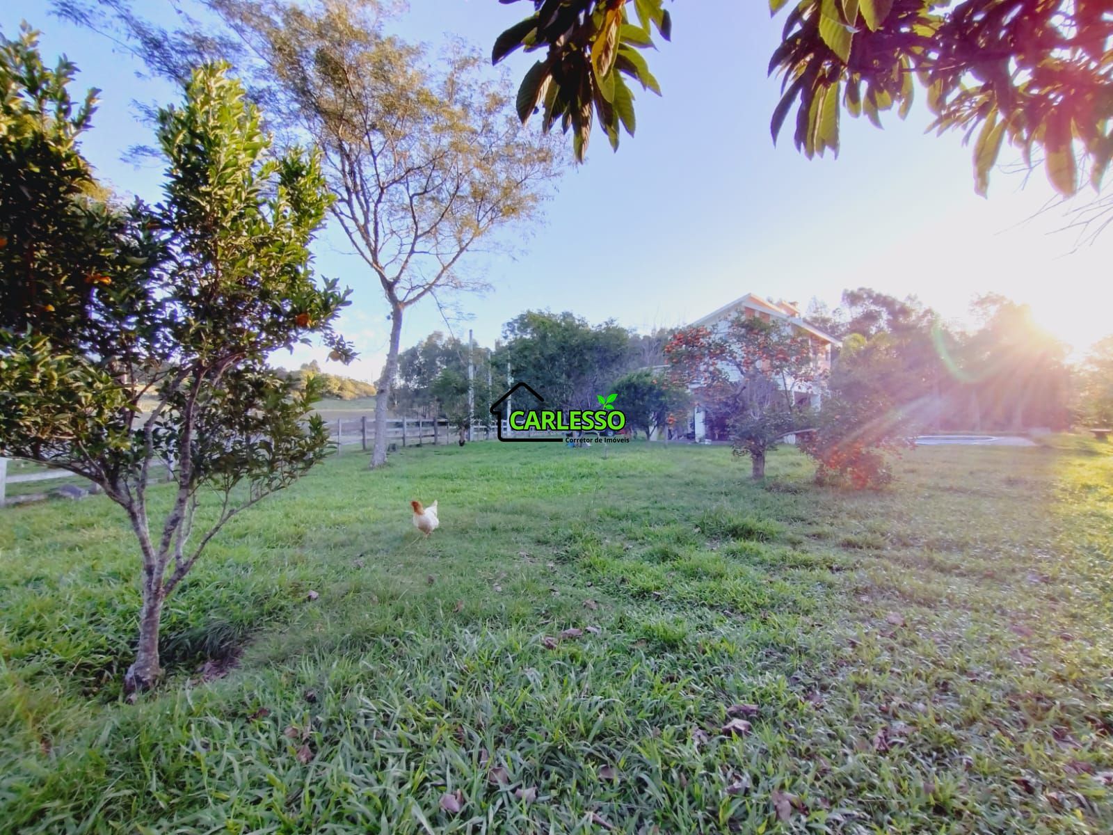 Sítio, 3 quartos, 7 hectares - Foto 8