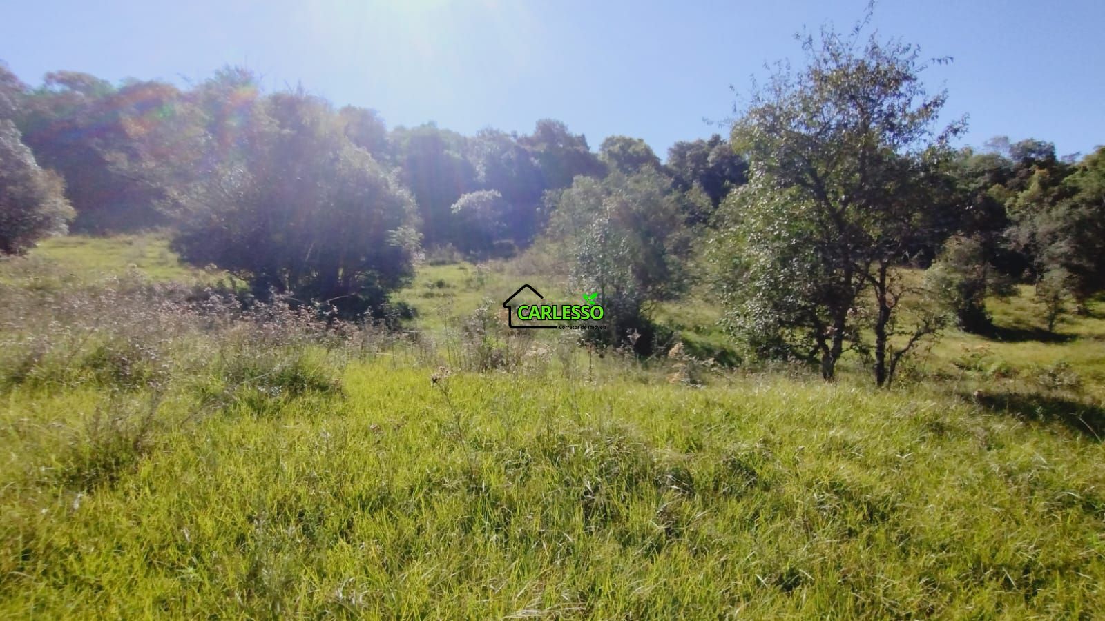 Área rural de 28 ha