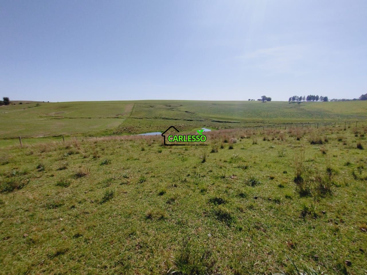 Chácara, 2 quartos, 2 hectares - Foto 51