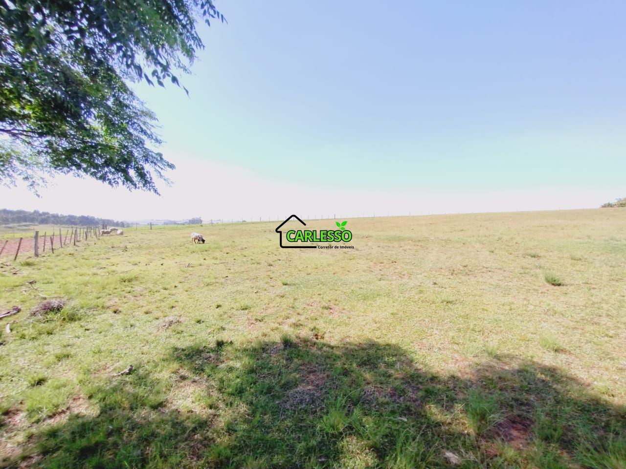 Chácara, 2 quartos, 2 hectares - Foto 36